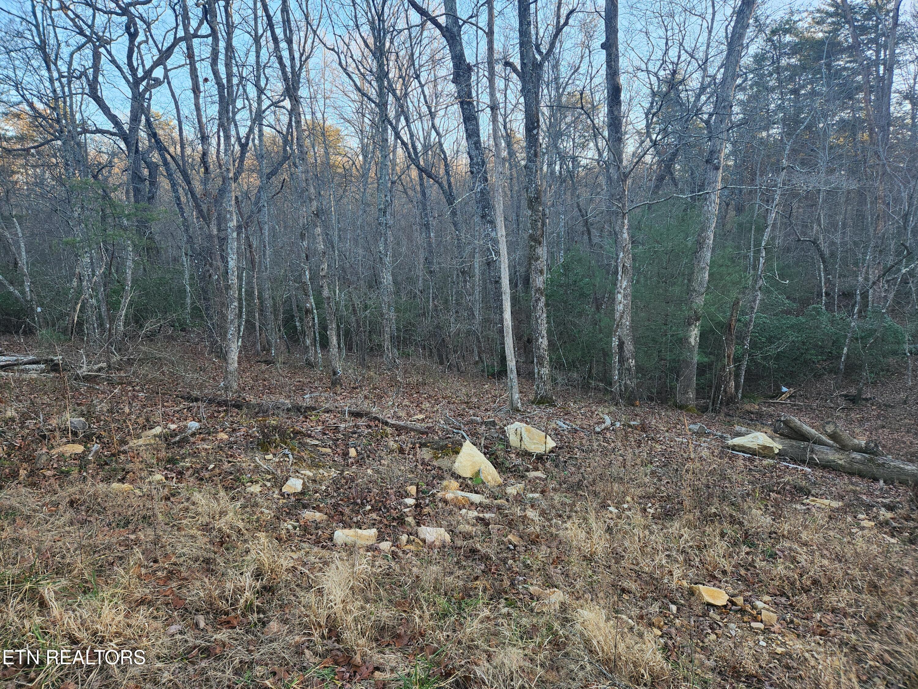 448 St. George Drive Crossville TN 38558