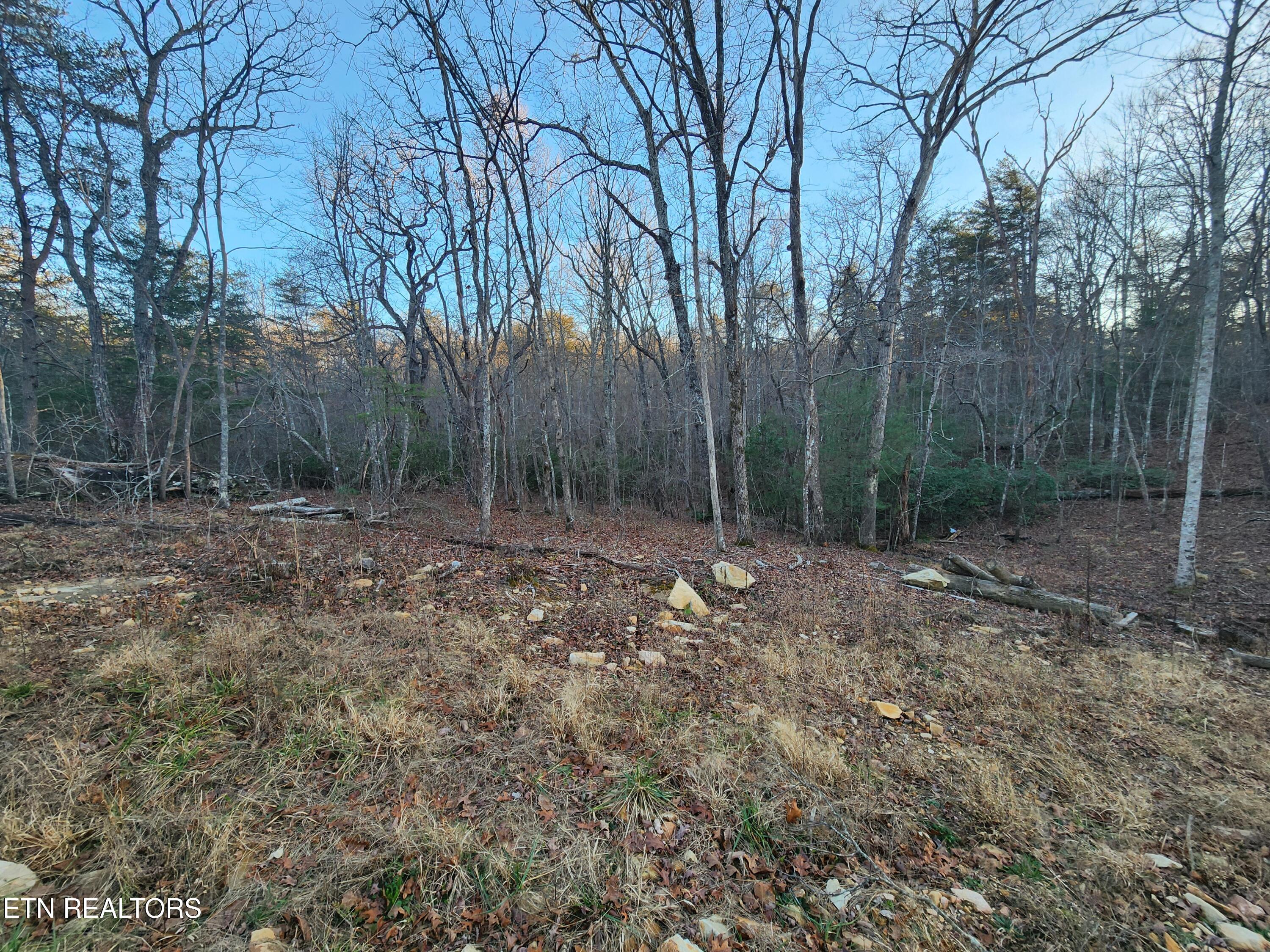 448 St. George Drive Crossville TN 38558
