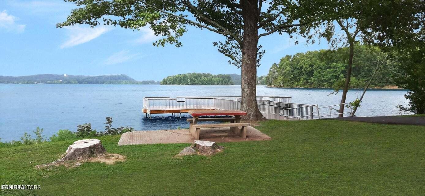 Lot 20 Dogwood Cove Drive Spring City TN 37381