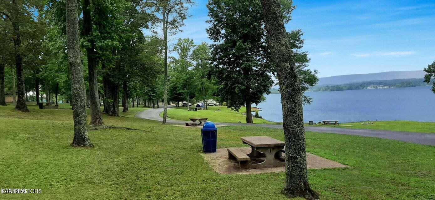 Lot 20 Dogwood Cove Drive Spring City TN 37381