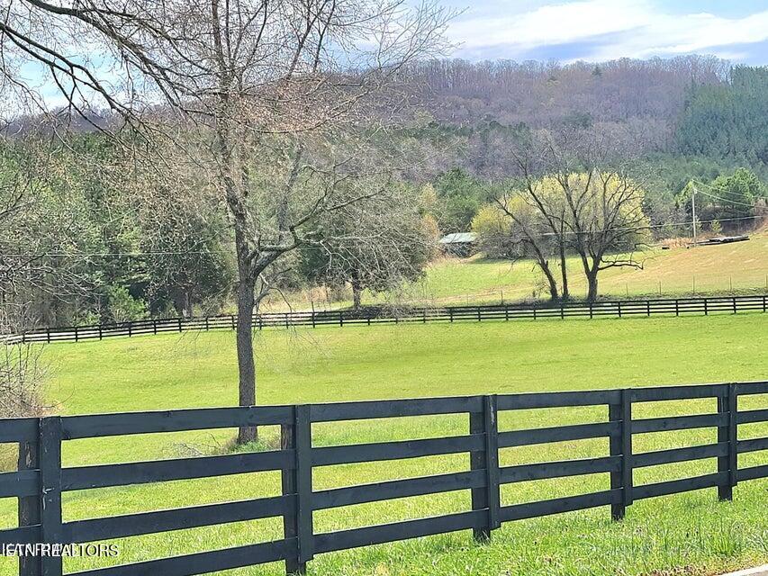 Lot 20 Dogwood Cove Drive Spring City TN 37381