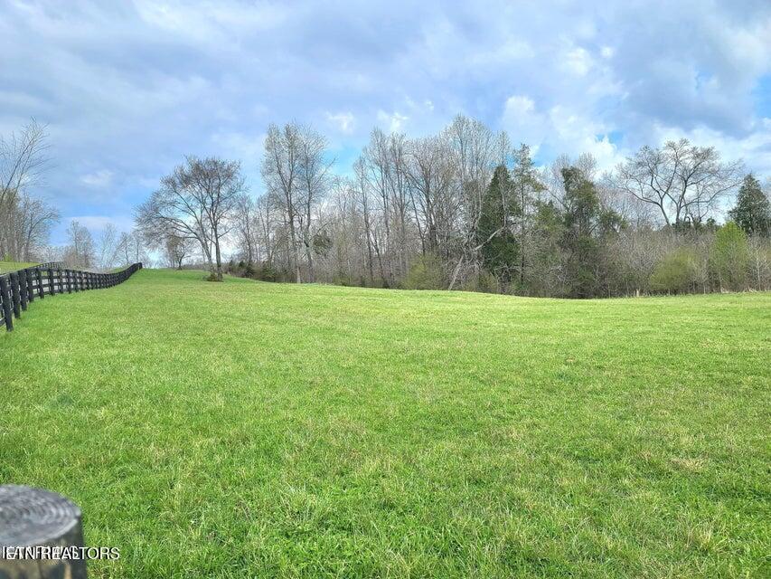Lot 20 Dogwood Cove Drive Spring City TN 37381
