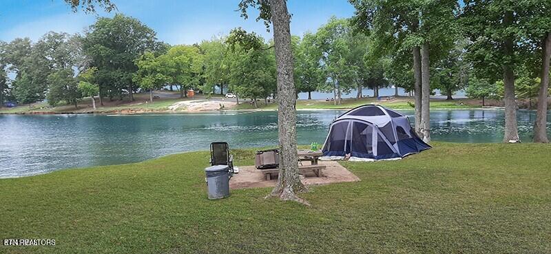 Lot 20 Dogwood Cove Drive Spring City TN 37381