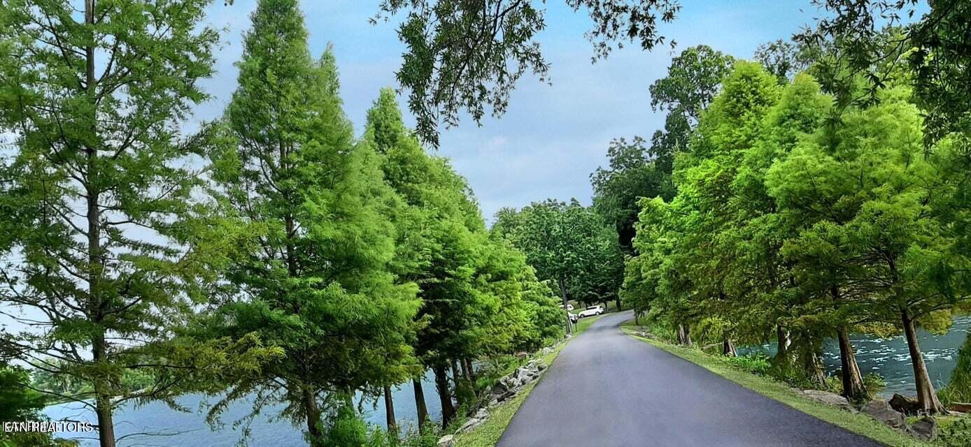 Lot 20 Dogwood Cove Drive Spring City TN 37381