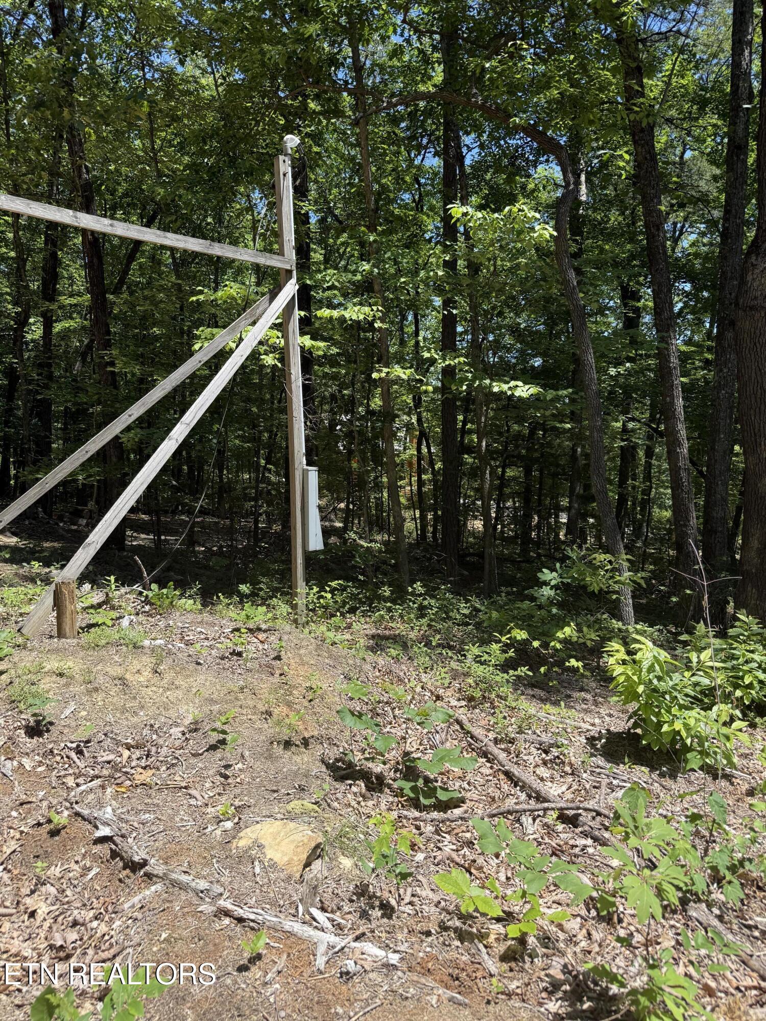 5941 Bobcat Trail Tallassee TN 37878