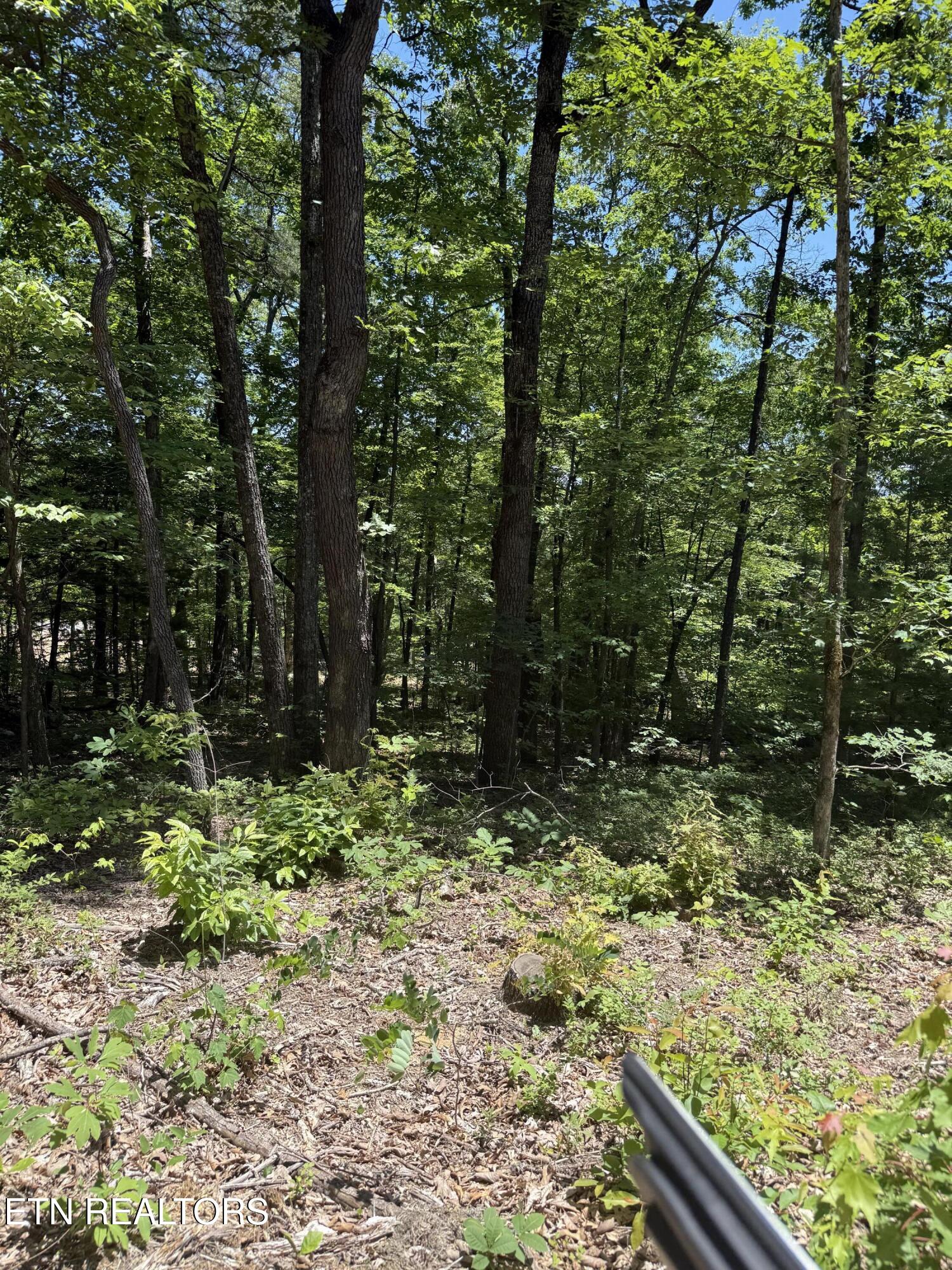 5941 Bobcat Trail Tallassee TN 37878