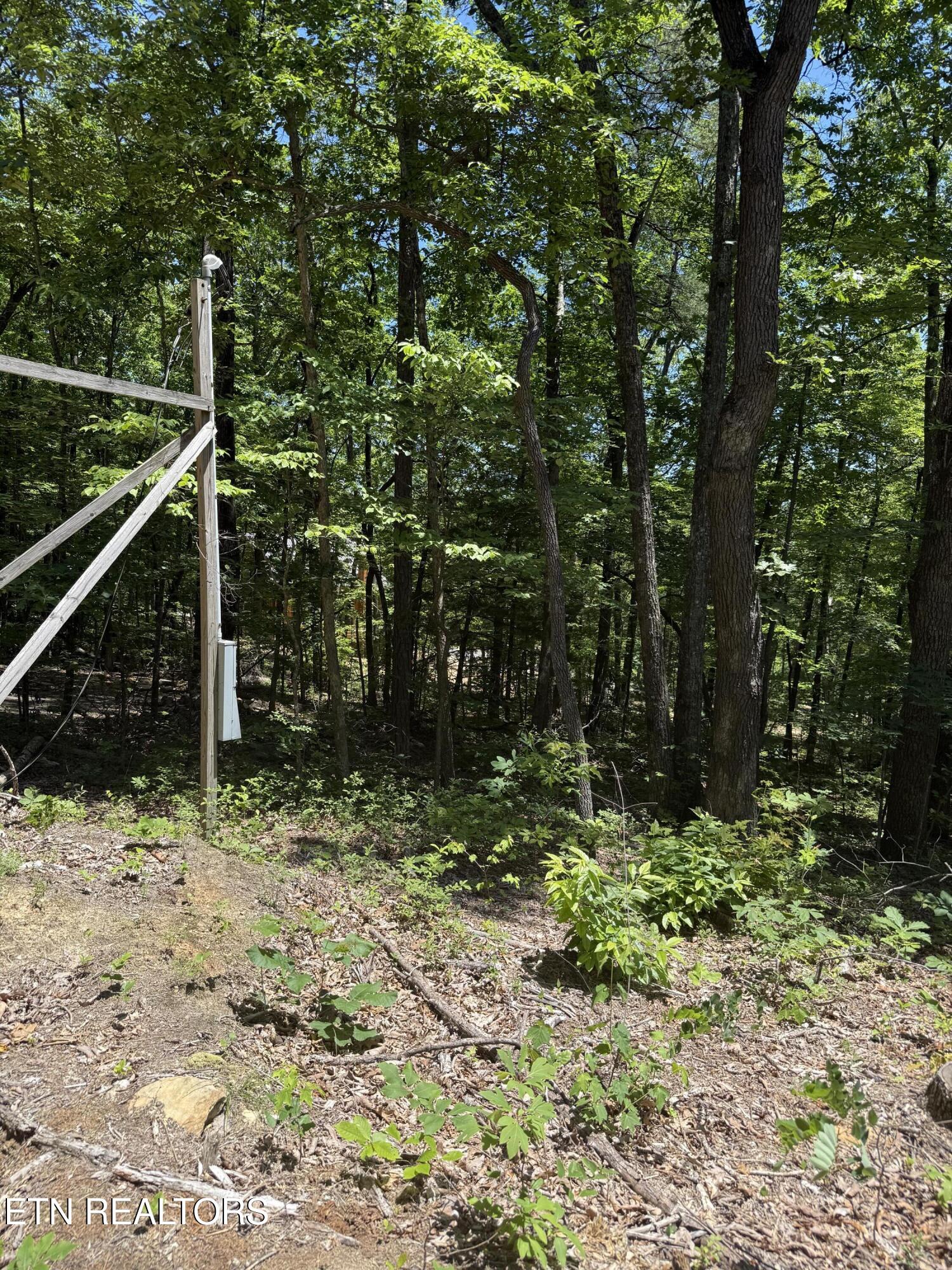 5941 Bobcat Trail Tallassee TN 37878