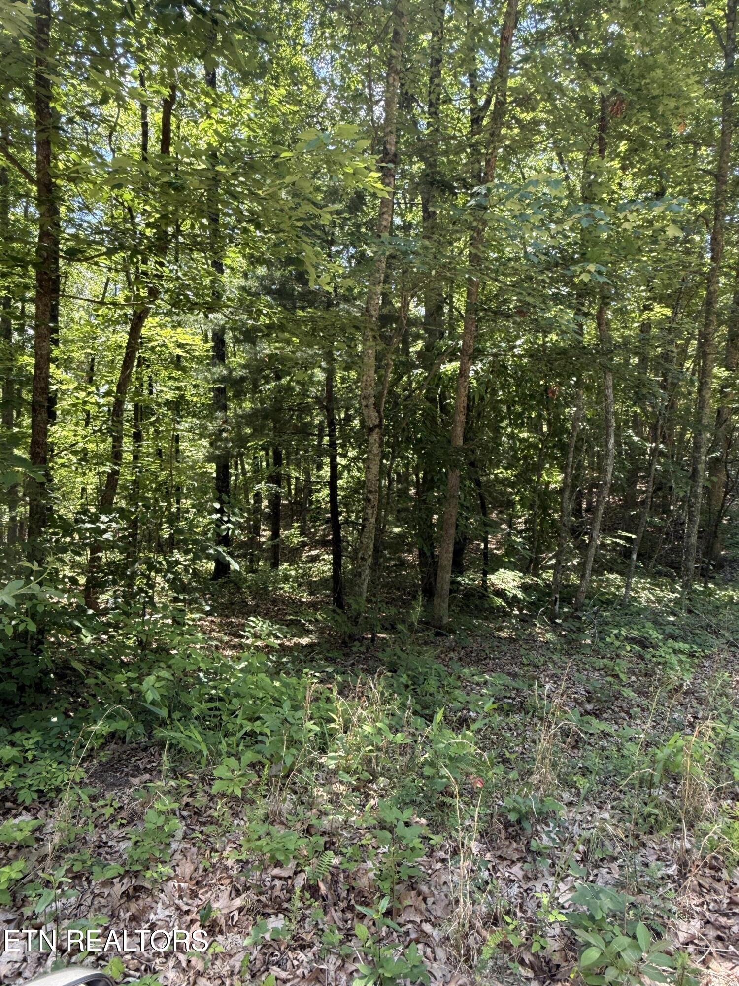 5941 Bobcat Trail Tallassee TN 37878
