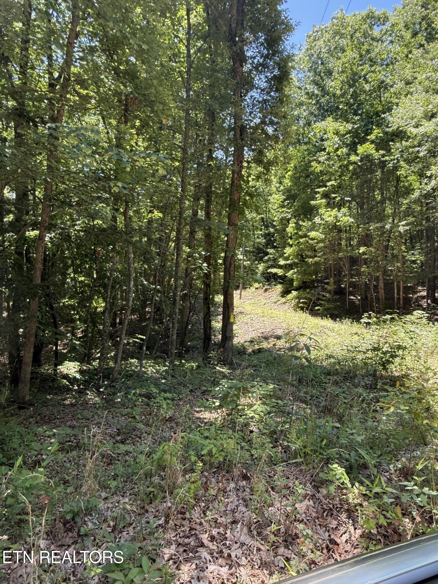 5941 Bobcat Trail Tallassee TN 37878