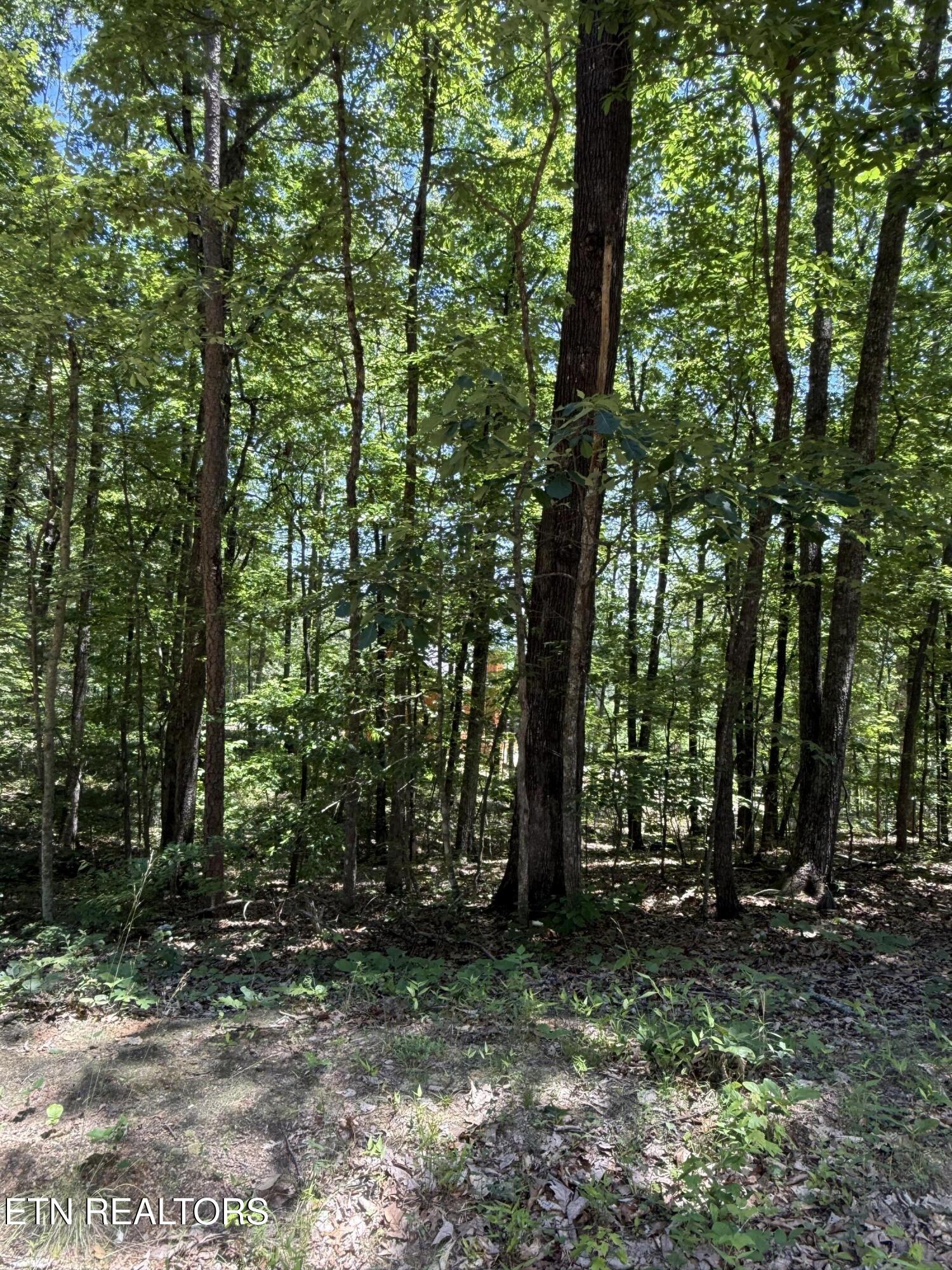 5941 Bobcat Trail Tallassee TN 37878