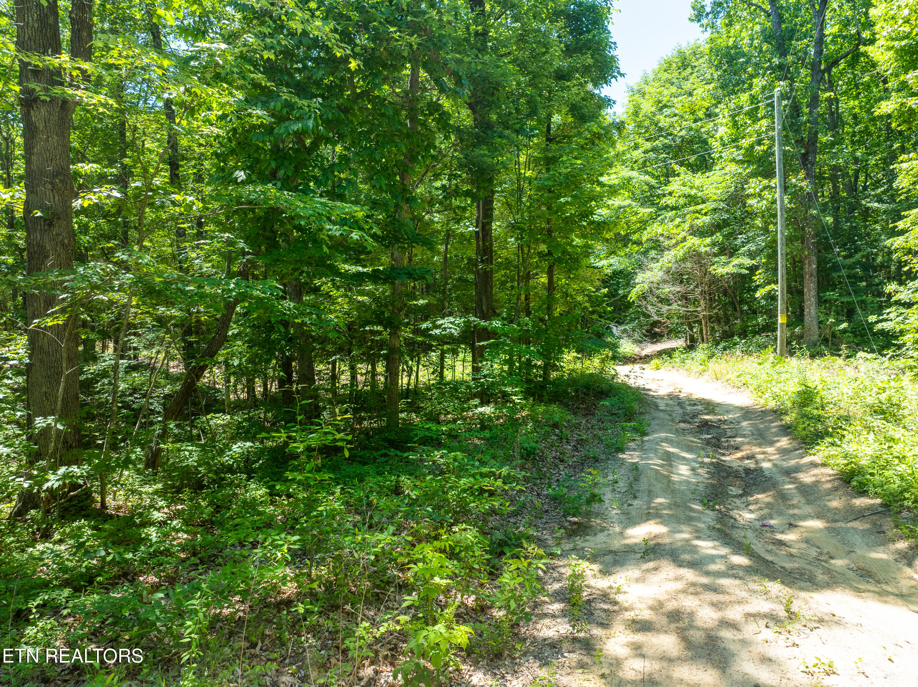 5941 Bobcat Trail Tallassee TN 37878