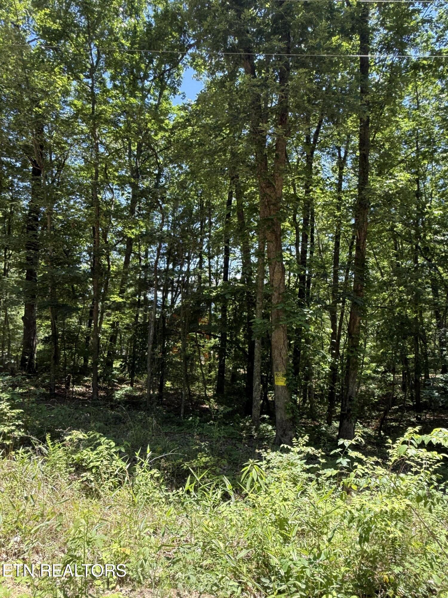 5941 Bobcat Trail Tallassee TN 37878