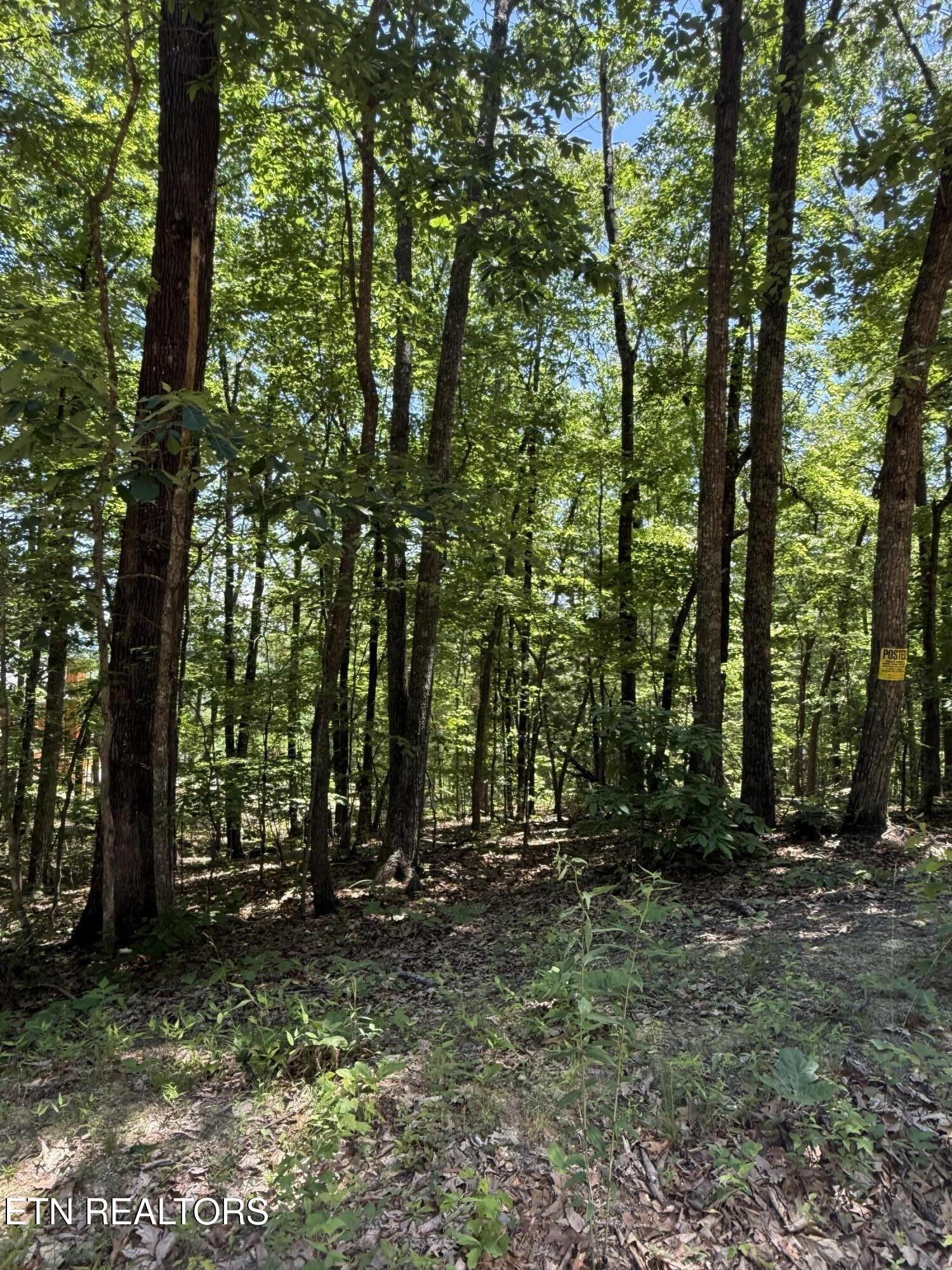 5941 Bobcat Trail Tallassee TN 37878