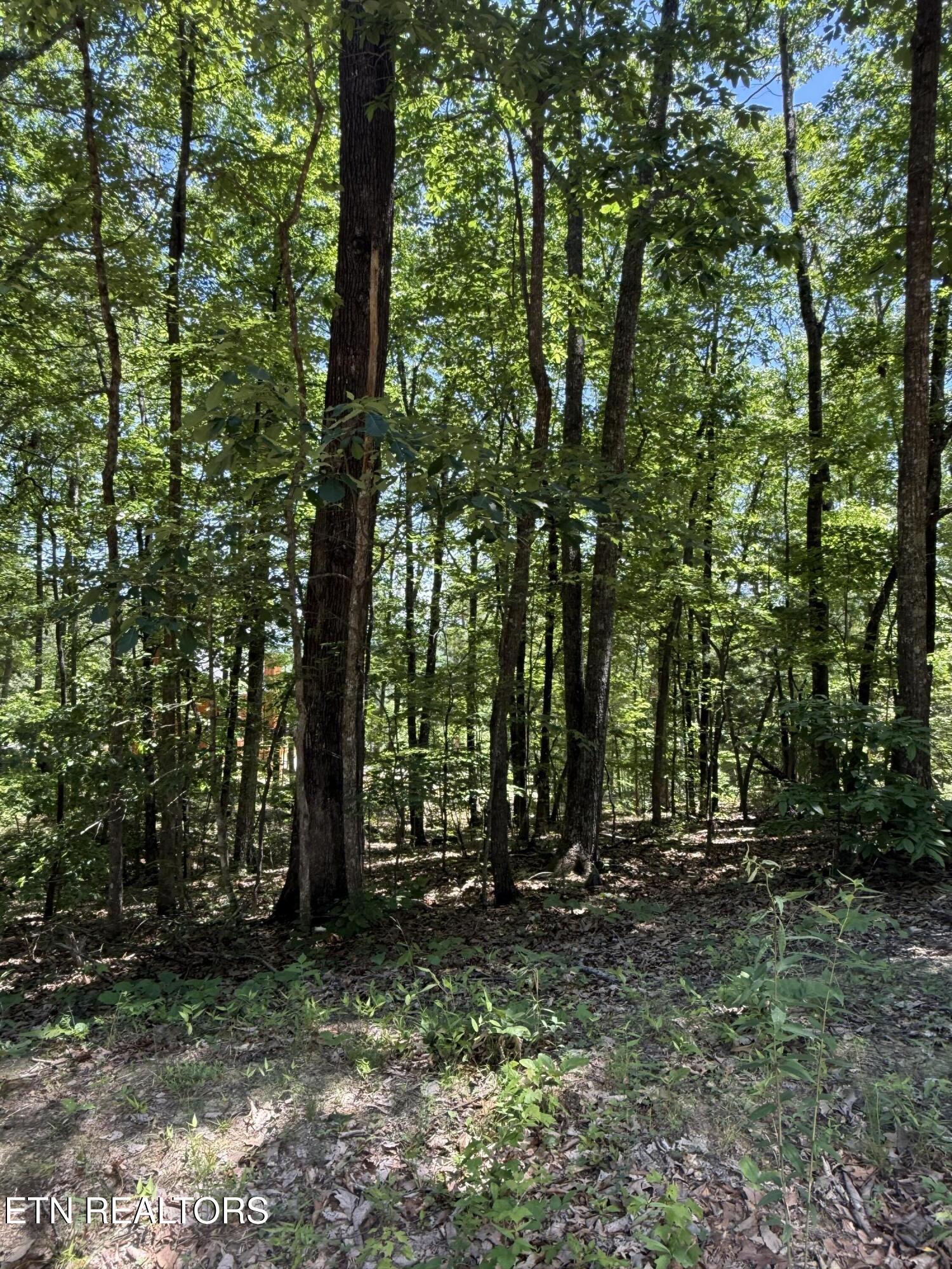 5941 Bobcat Trail Tallassee TN 37878