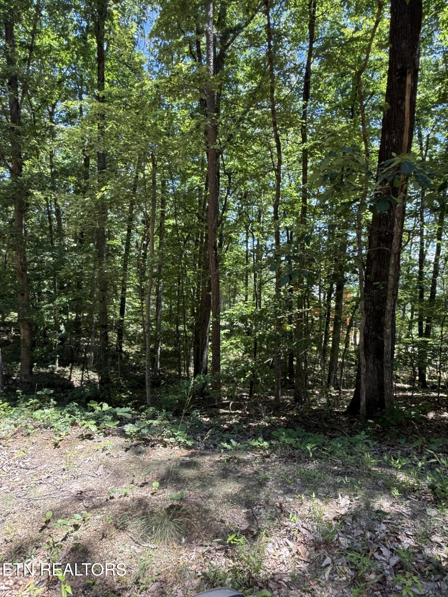 5941 Bobcat Trail Tallassee TN 37878