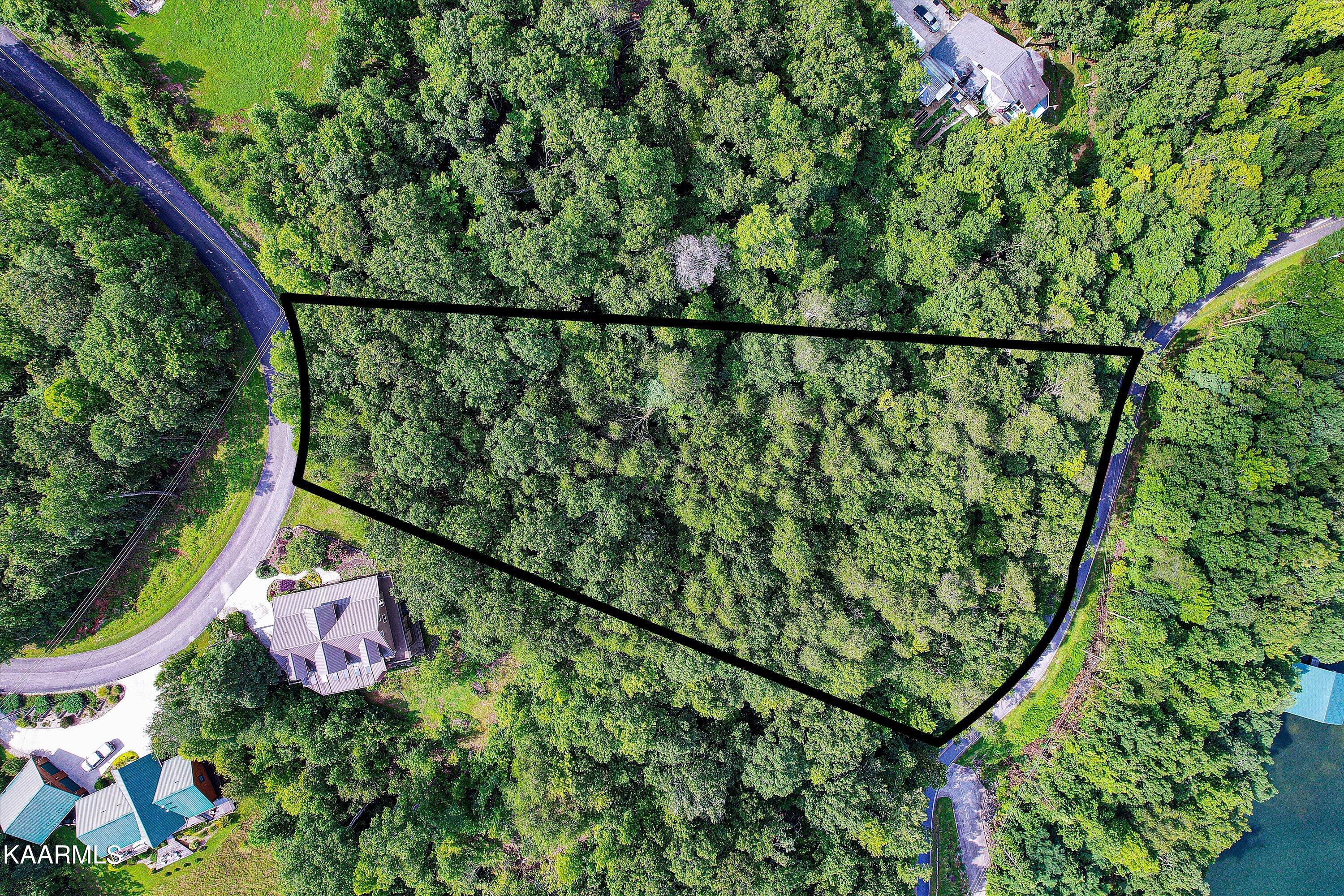 228 Black Hawk Drive Ten Mile TN 37880