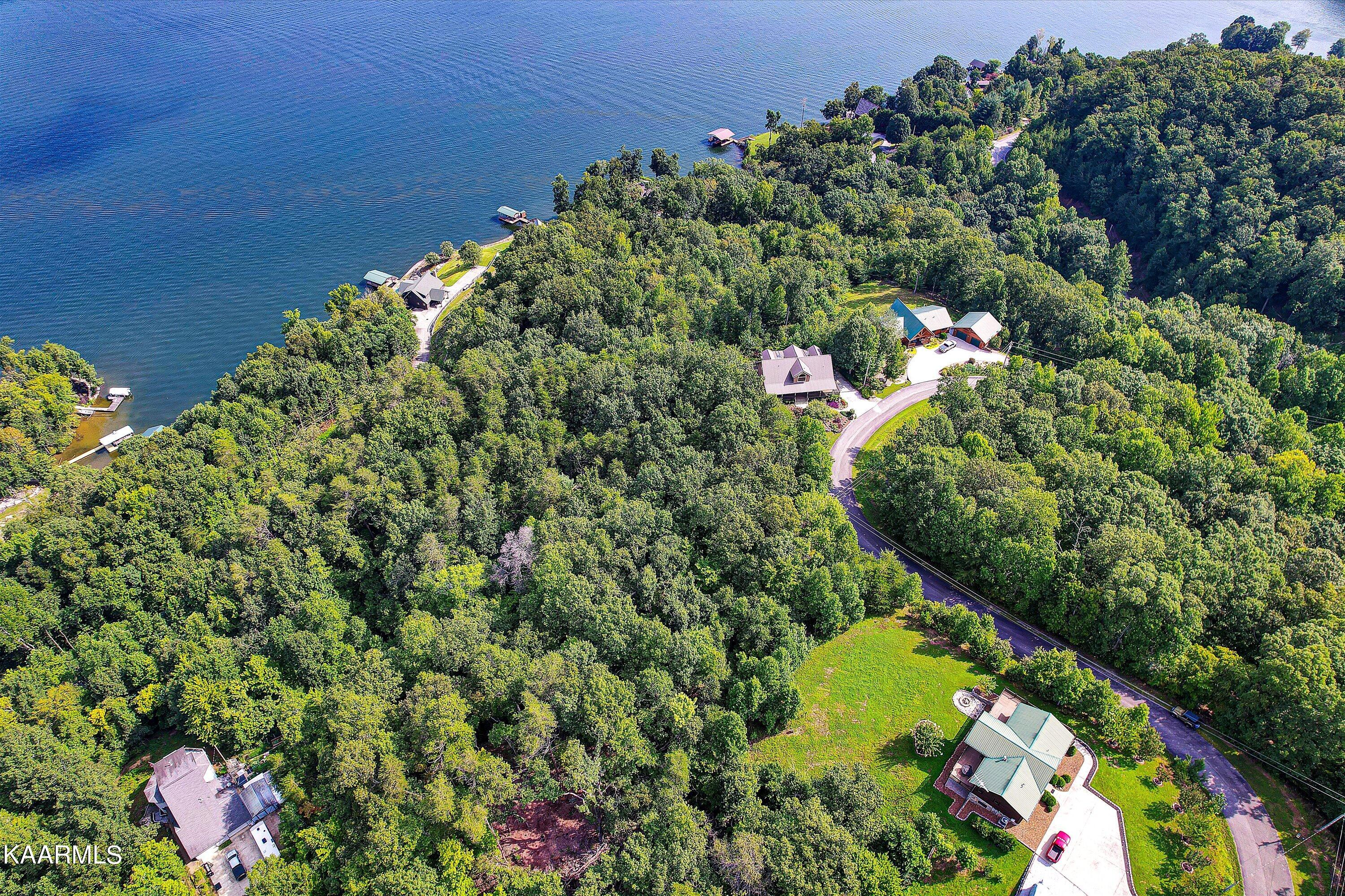 228 Black Hawk Drive Ten Mile TN 37880