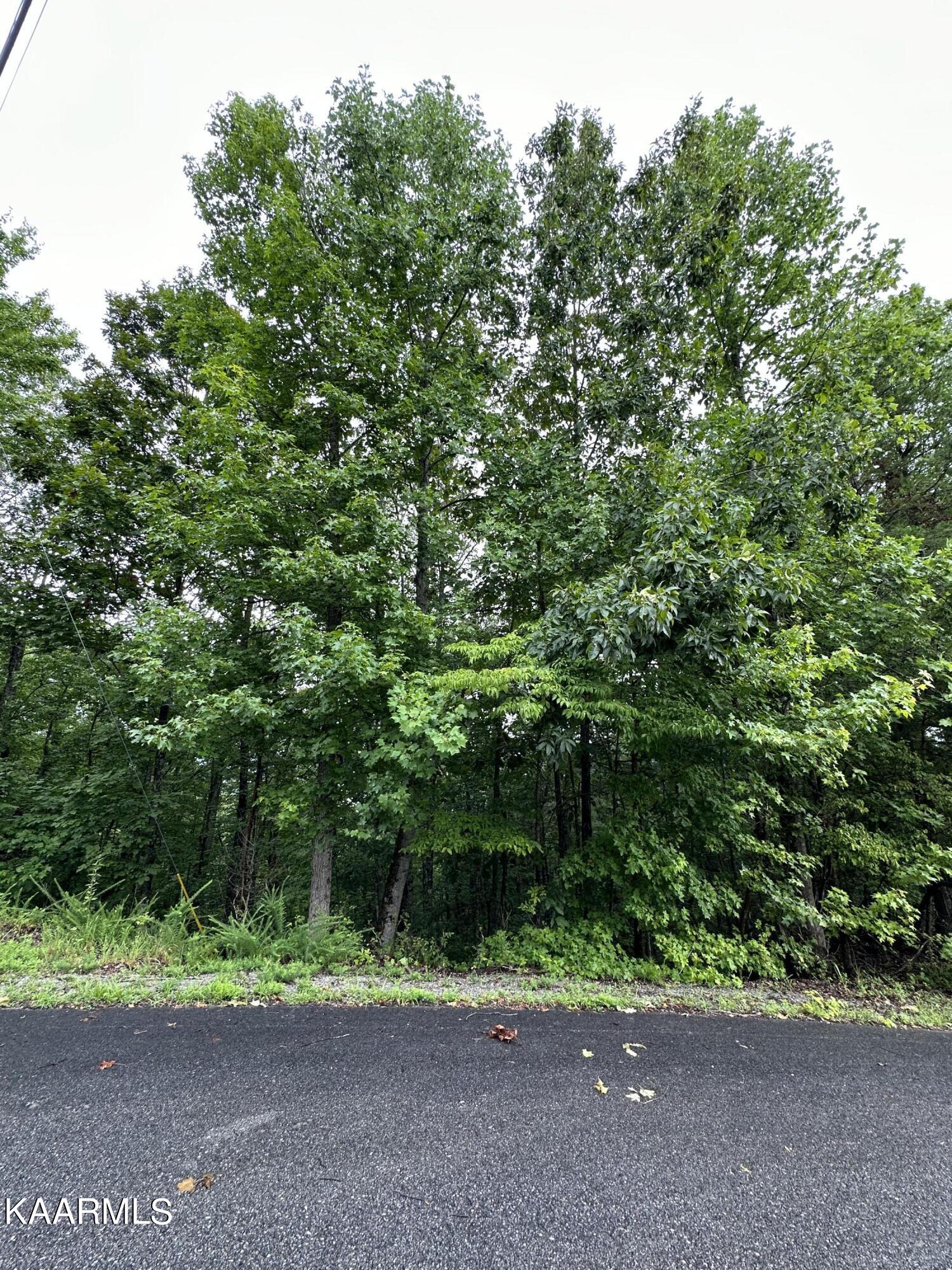228 Black Hawk Drive Ten Mile TN 37880
