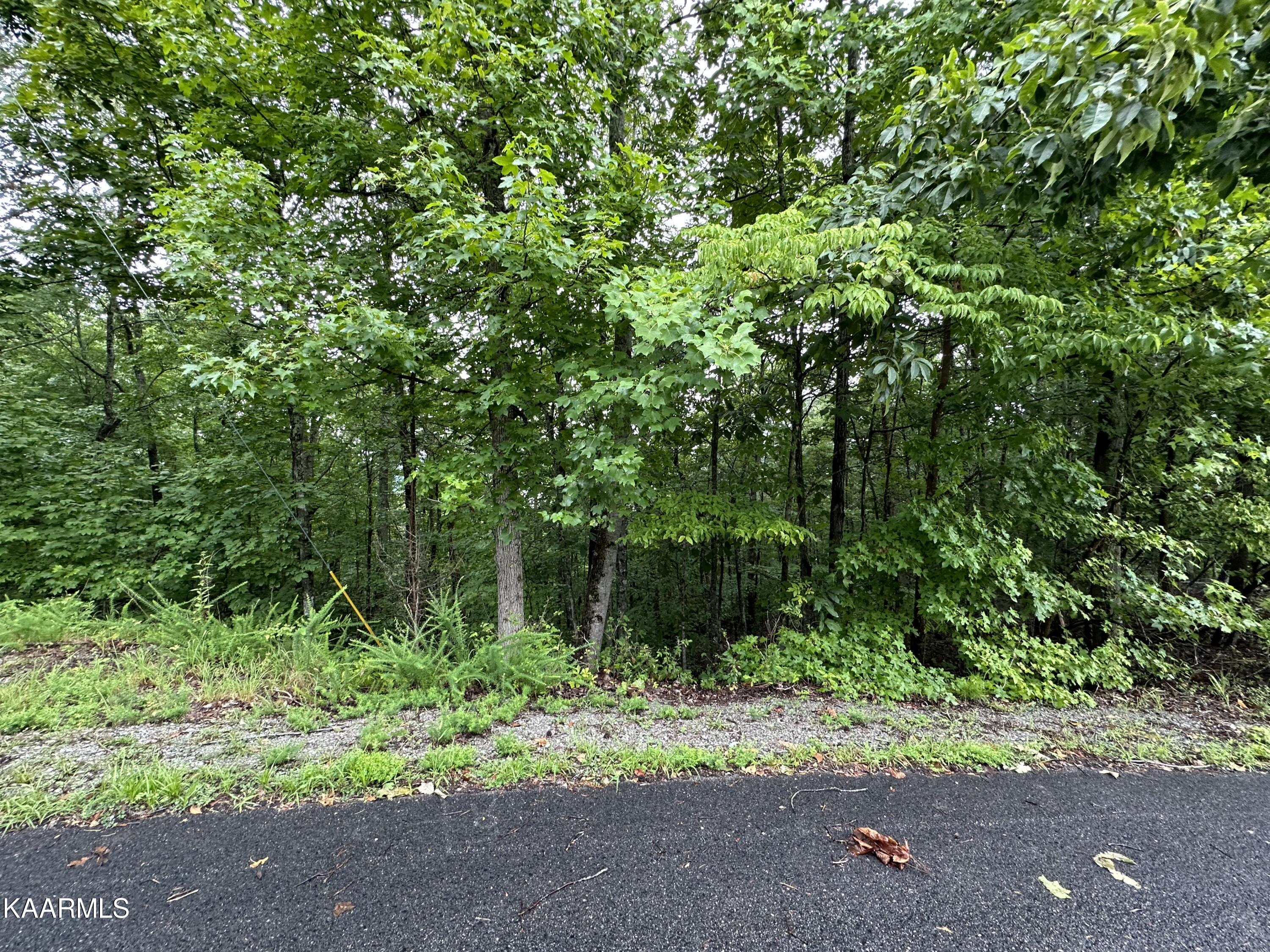 228 Black Hawk Drive Ten Mile TN 37880