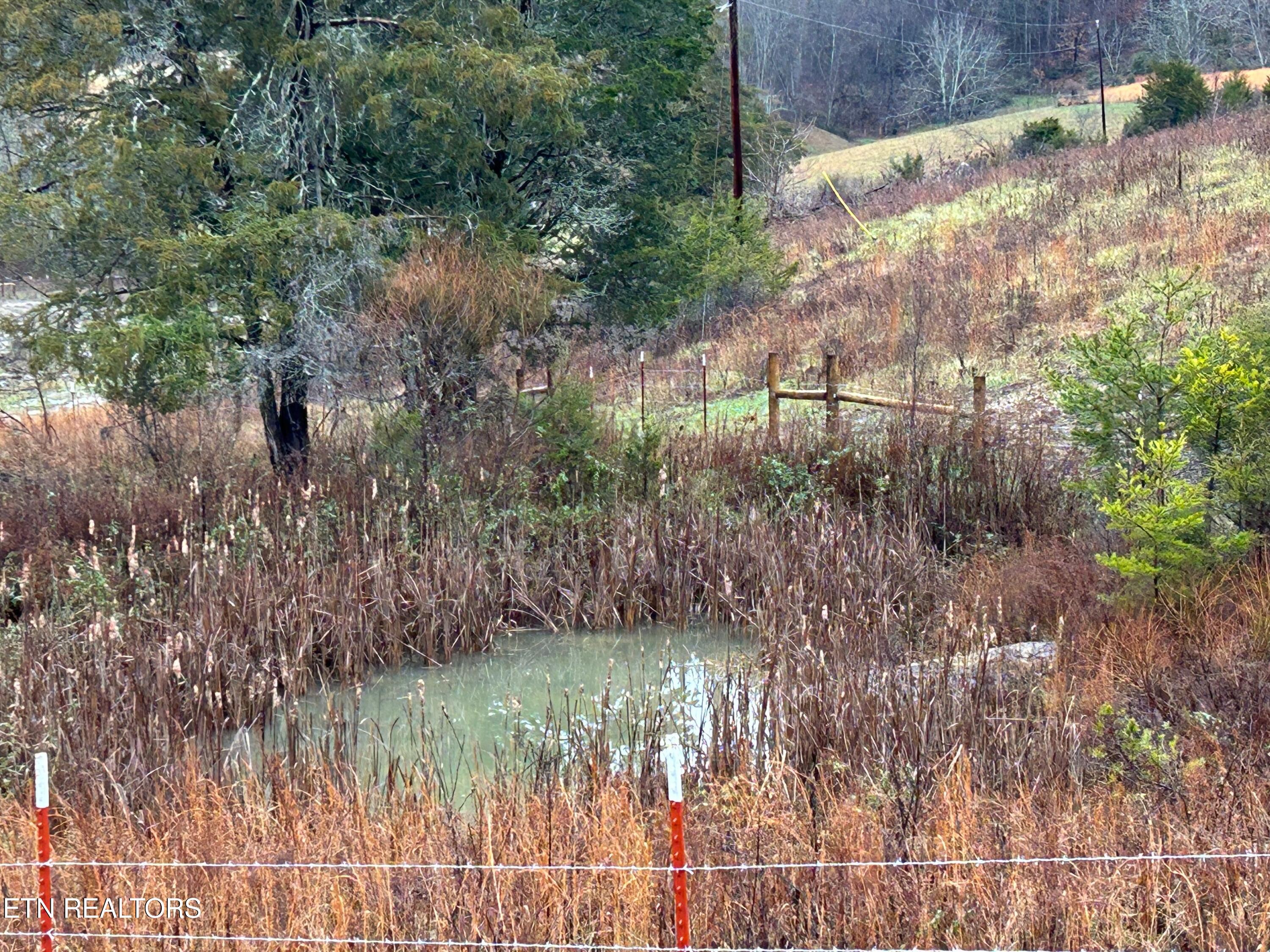 Tbd Trent Valley Road Sneedville TN 37869