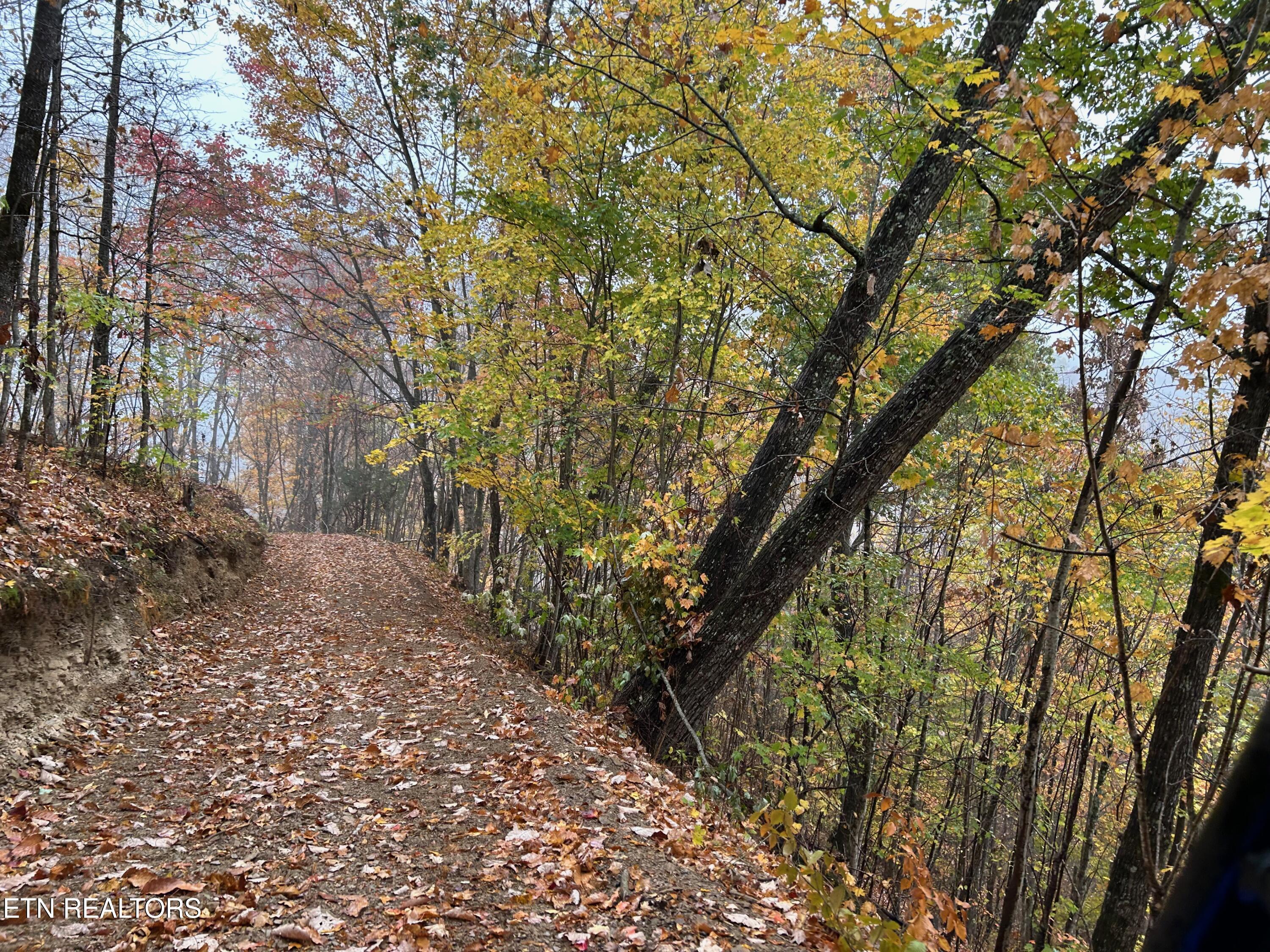 Tbd Trent Valley Road Sneedville TN 37869