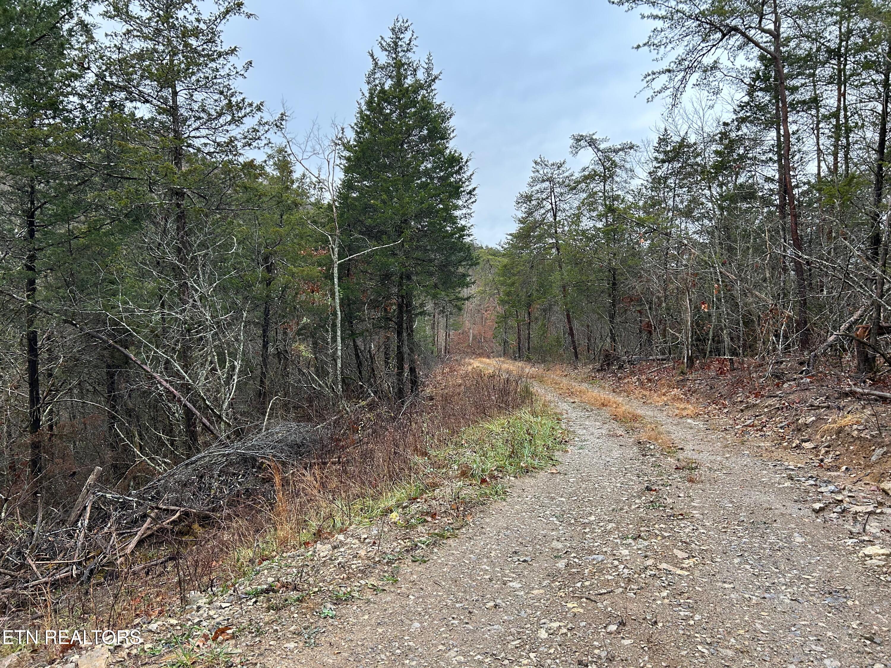 Tbd Trent Valley Road Sneedville TN 37869