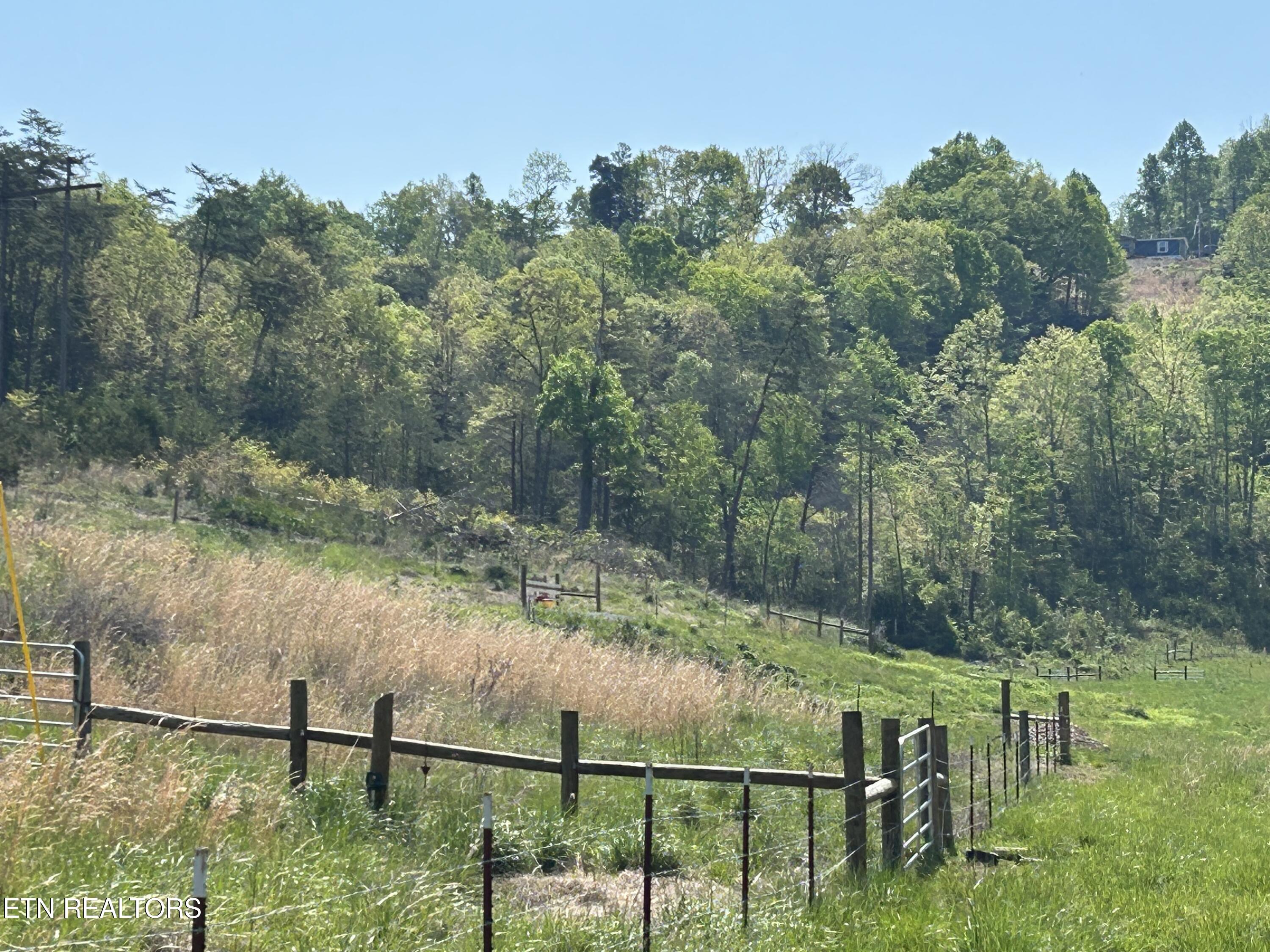 Tbd Trent Valley Road Sneedville TN 37869