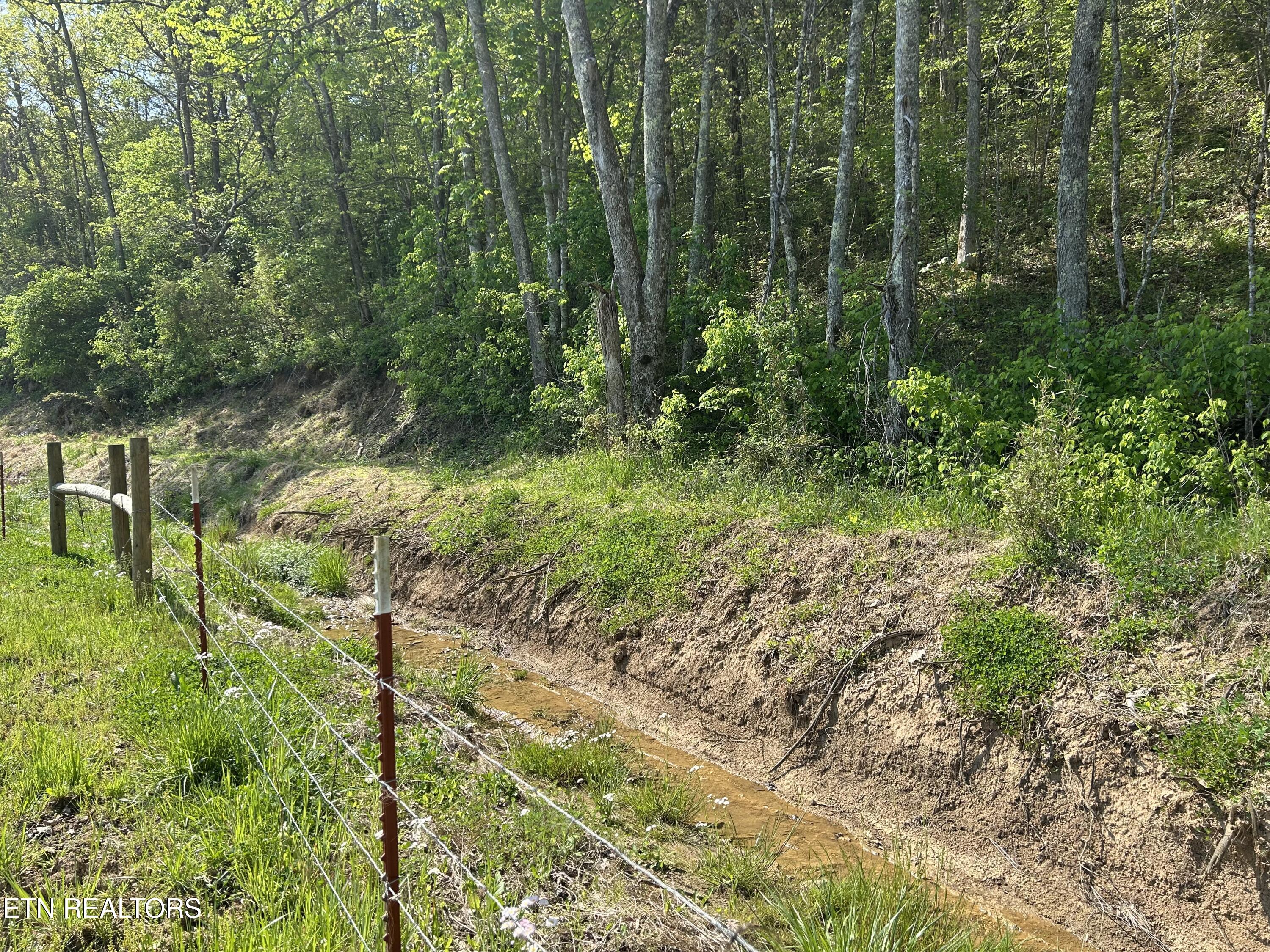 Tbd Trent Valley Road Sneedville TN 37869