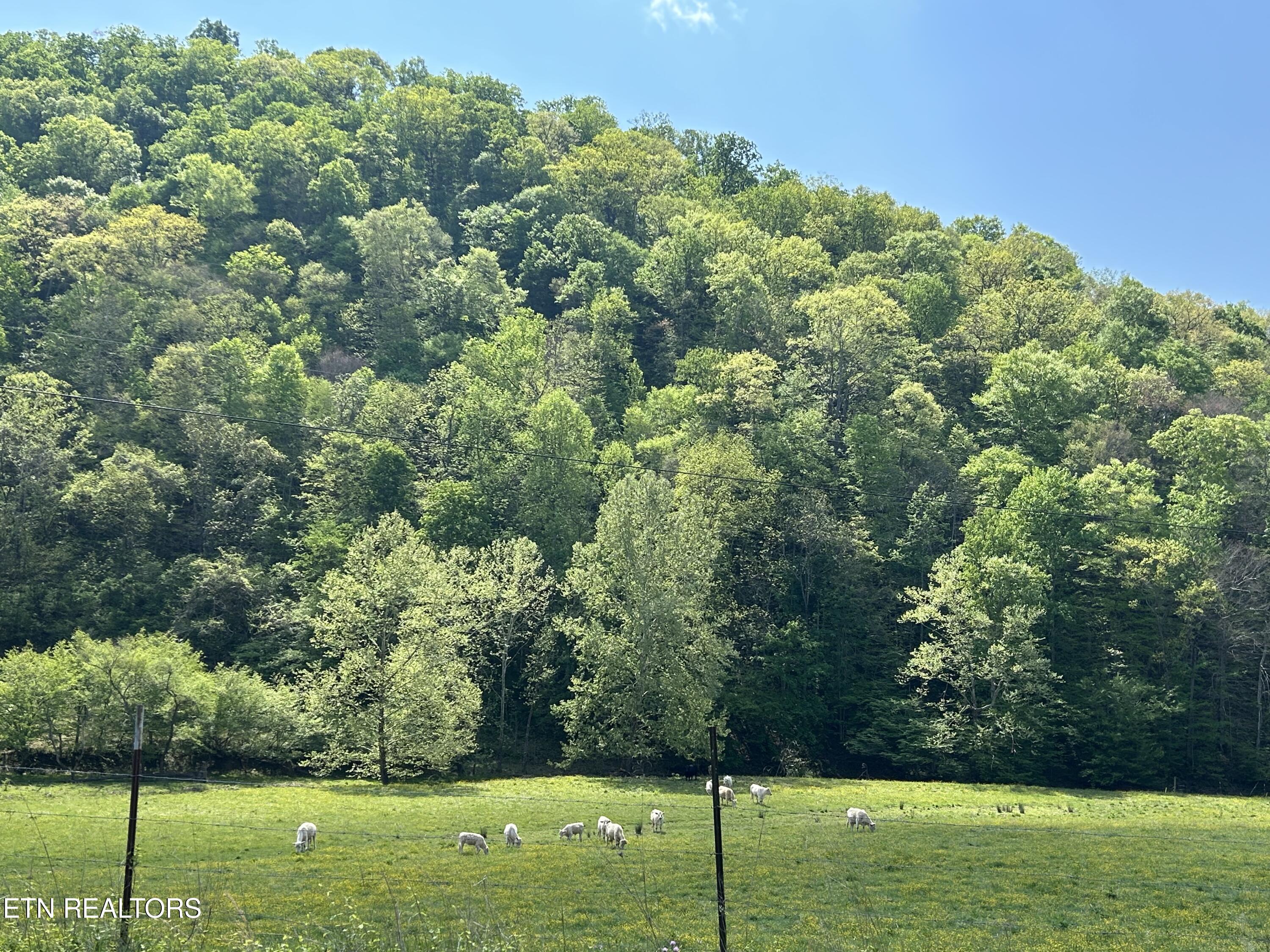Tbd Trent Valley Road Sneedville TN 37869