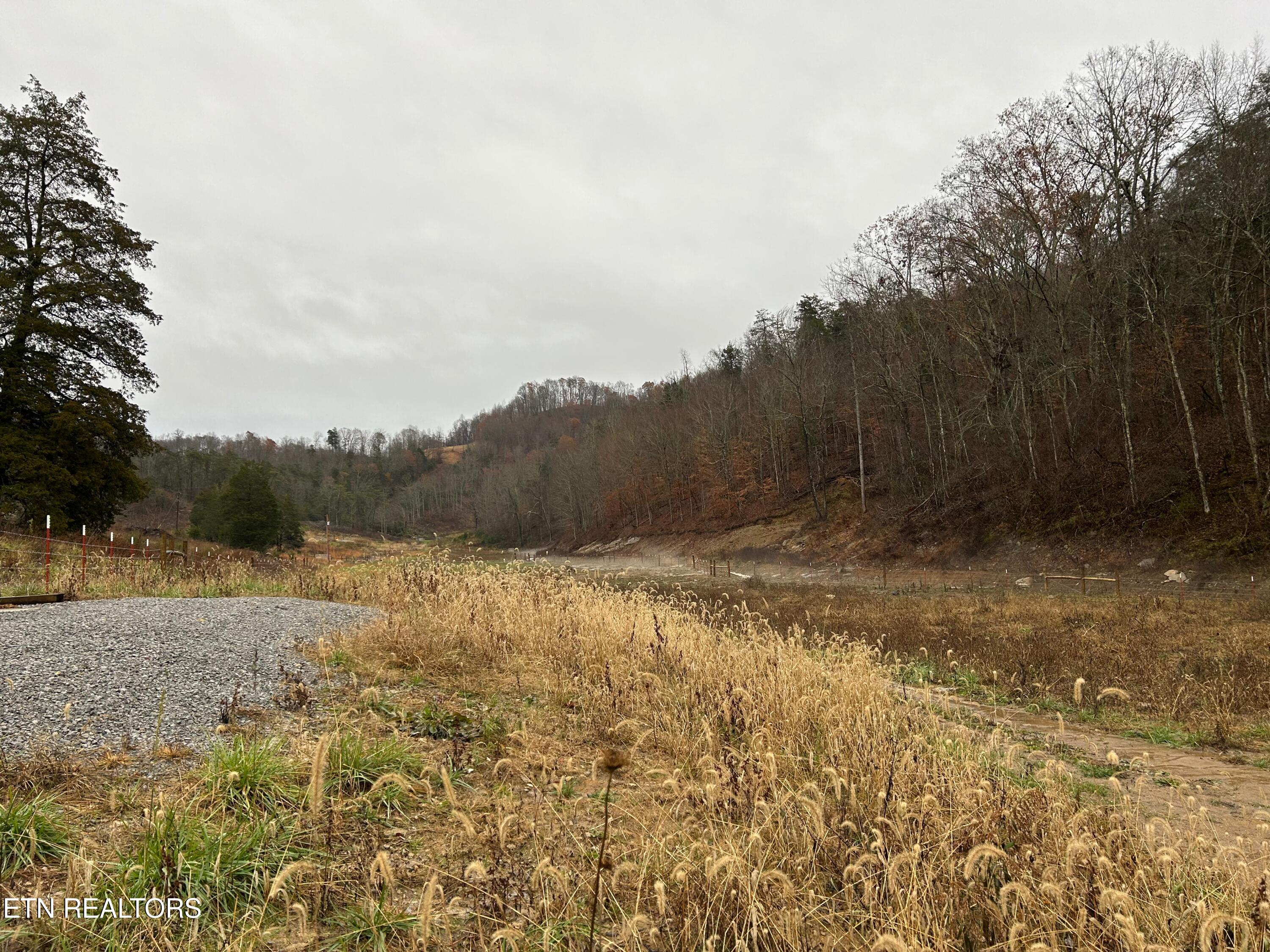 Tbd Trent Valley Road Sneedville TN 37869