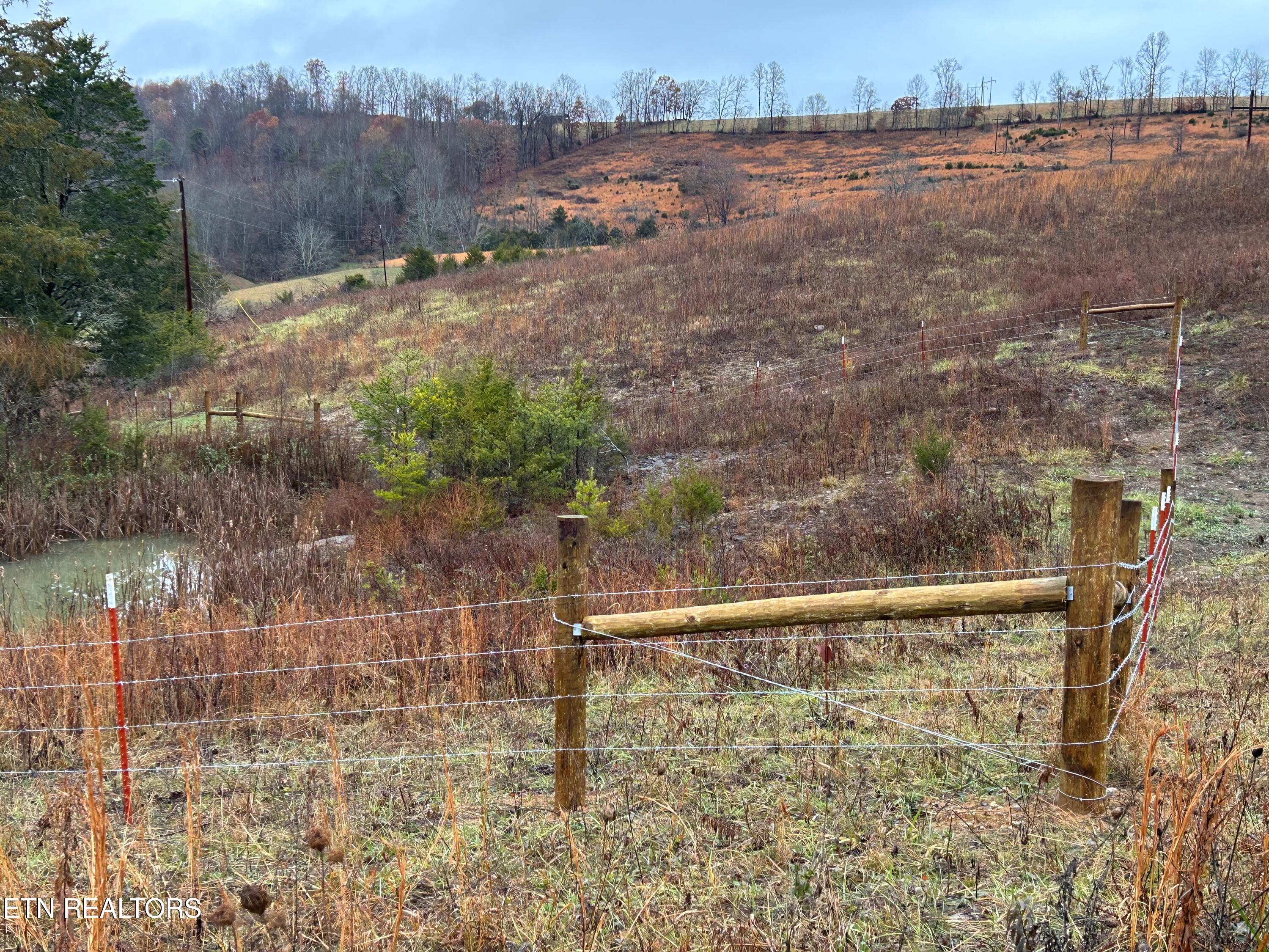 Tbd Trent Valley Road Sneedville TN 37869
