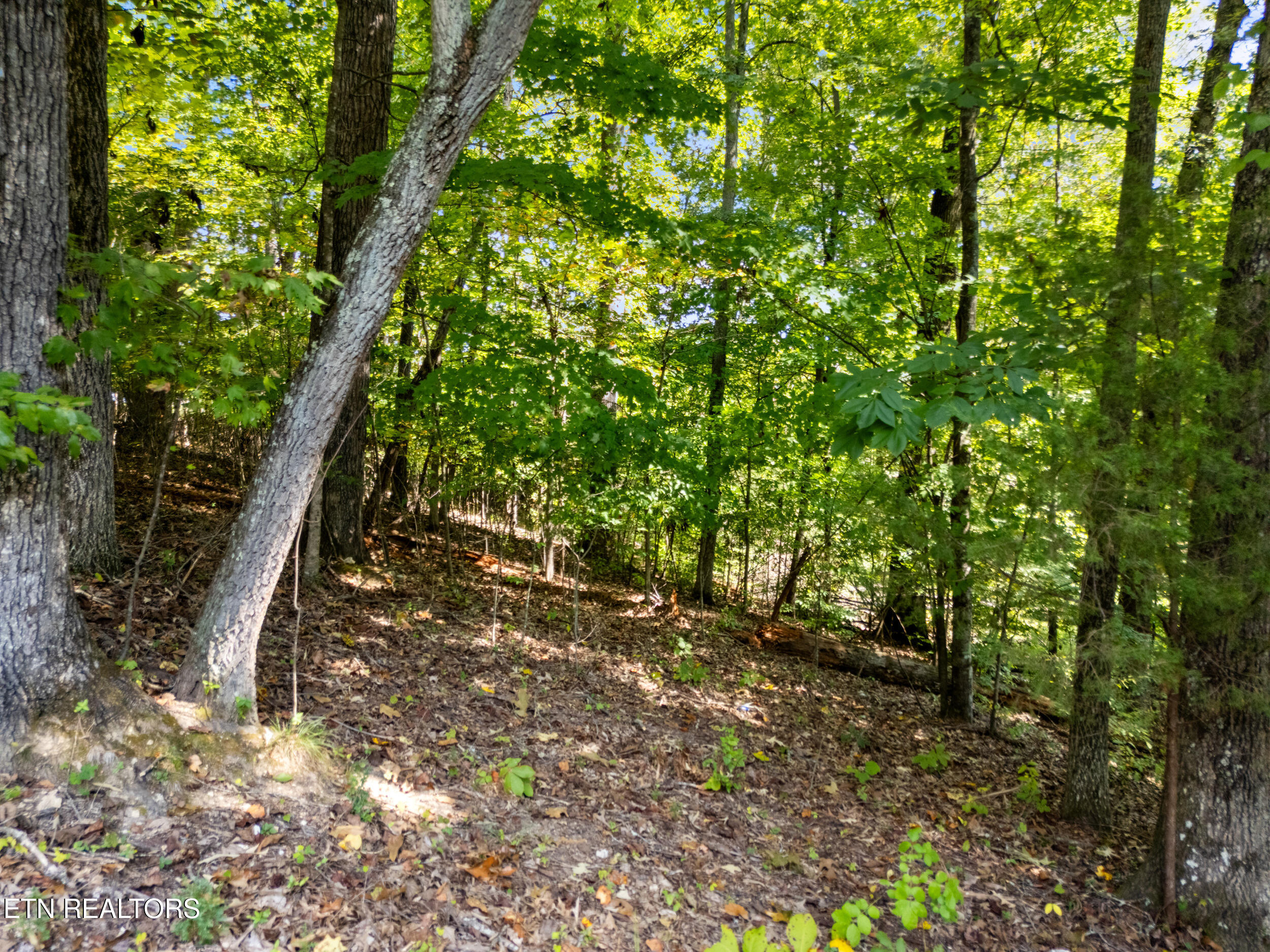 2215 Viewcrest Lane Knoxville TN 37932