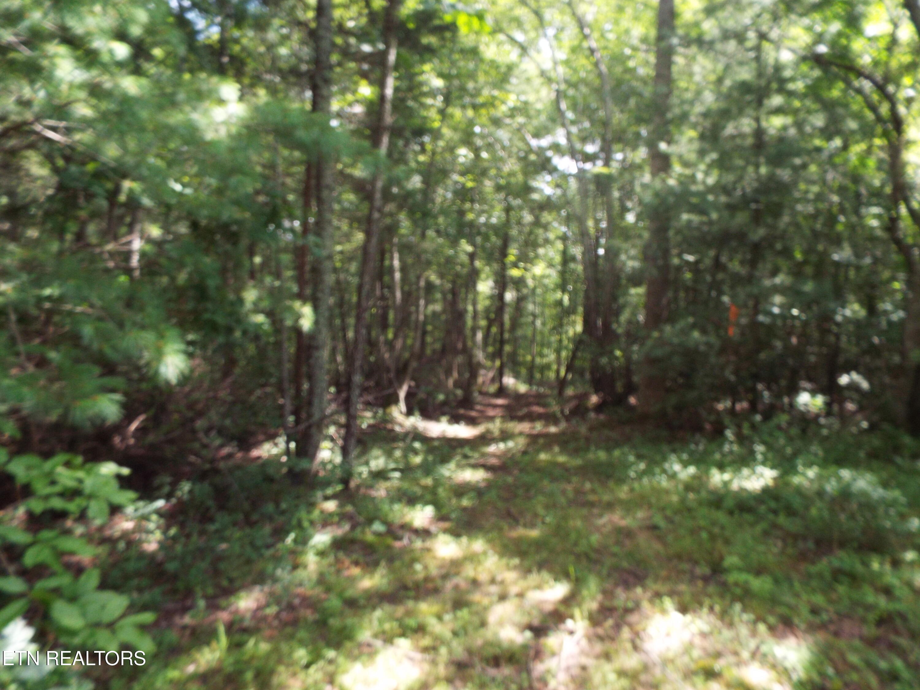 Bob Tollett Loop Crossville TN 38555