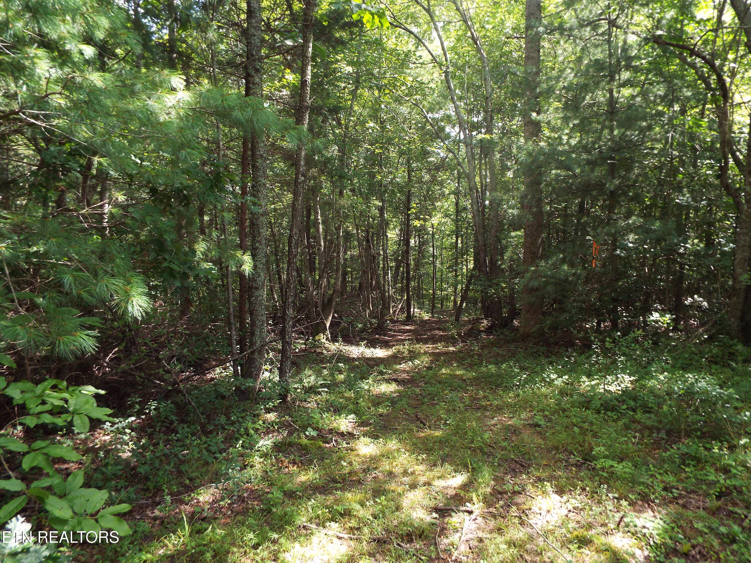 Bob Tollett Loop Crossville TN 38555