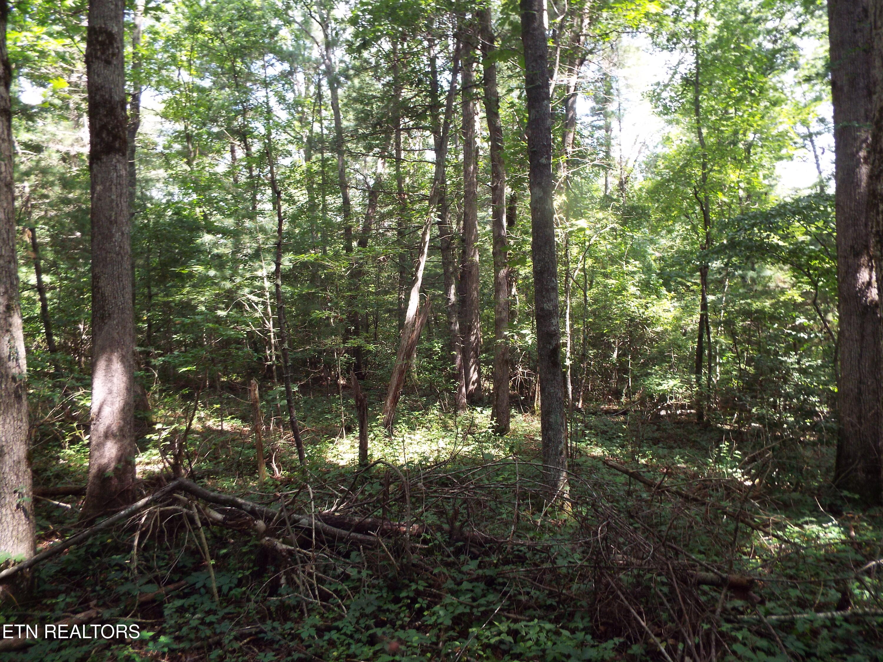 Bob Tollett Loop Crossville TN 38555