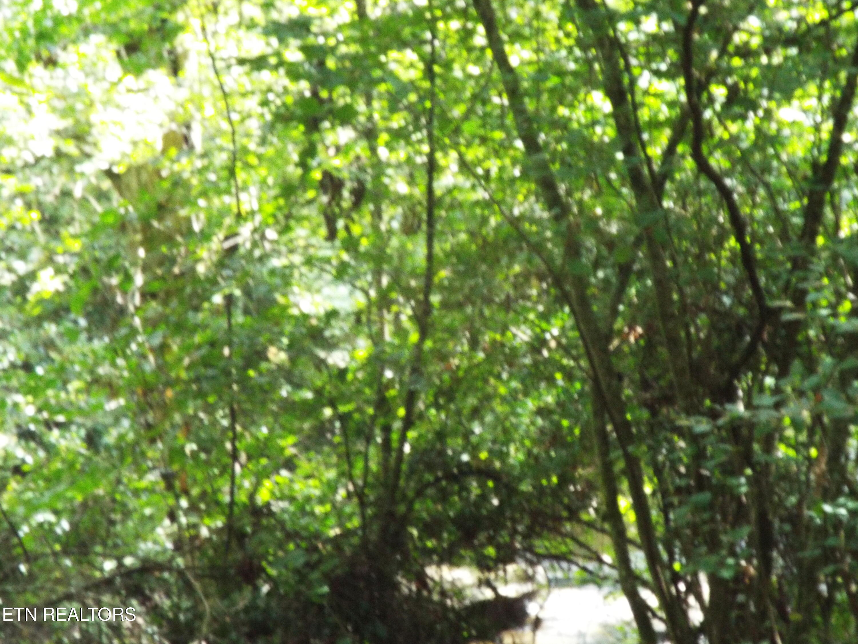 Bob Tollett Loop Crossville TN 38555
