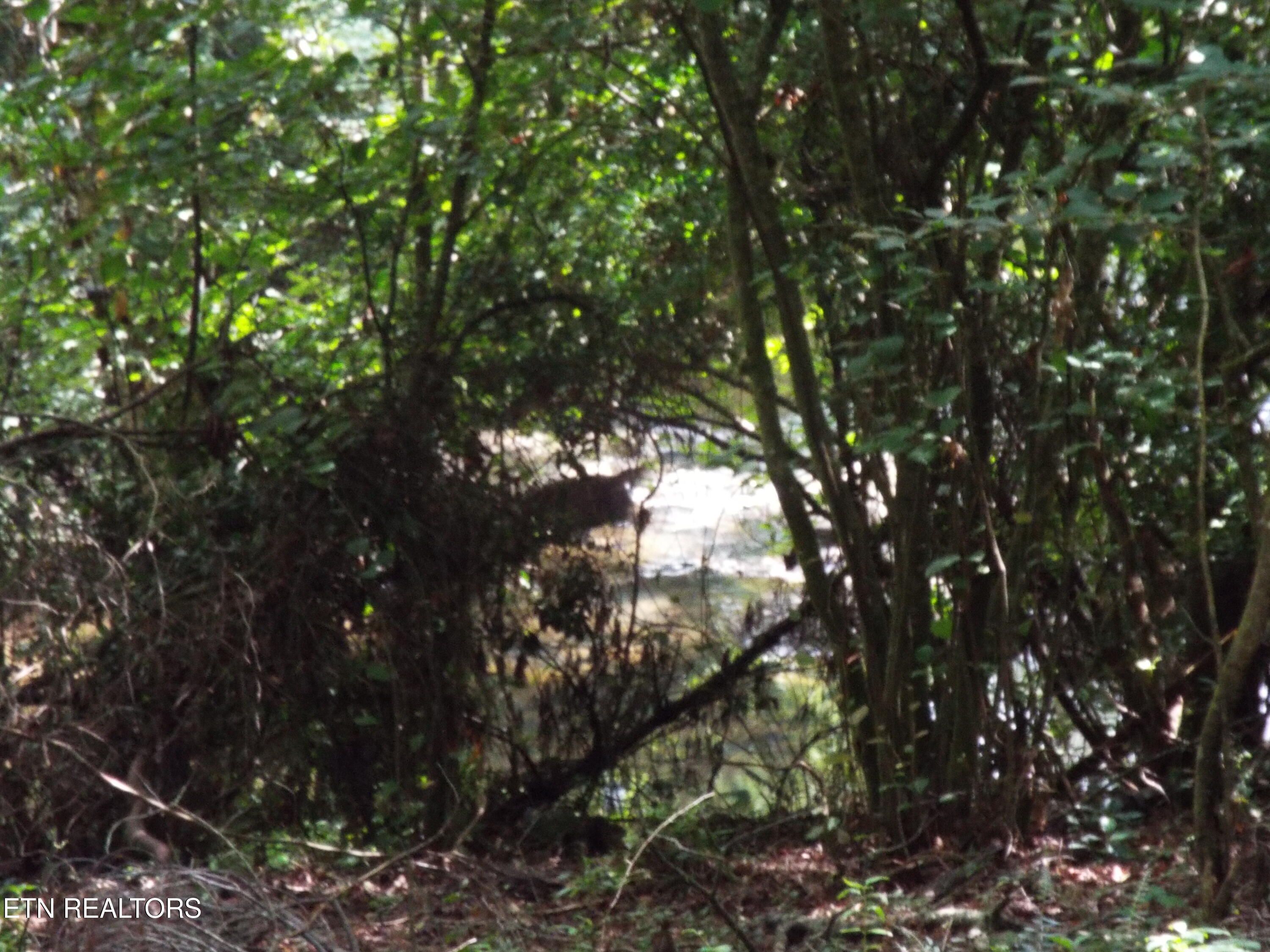 Bob Tollett Loop Crossville TN 38555