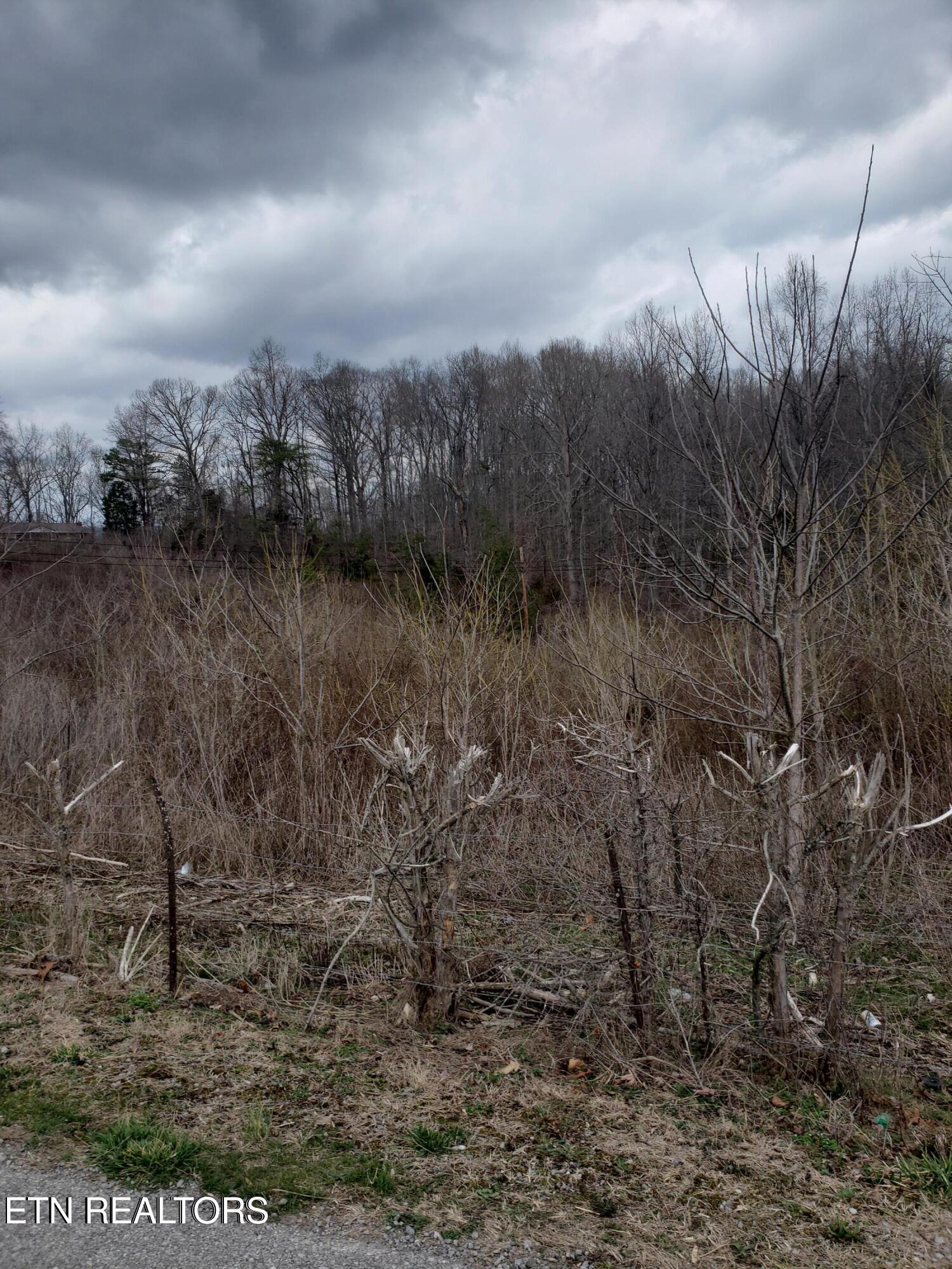 W High Knob Road Lafollette TN 37766