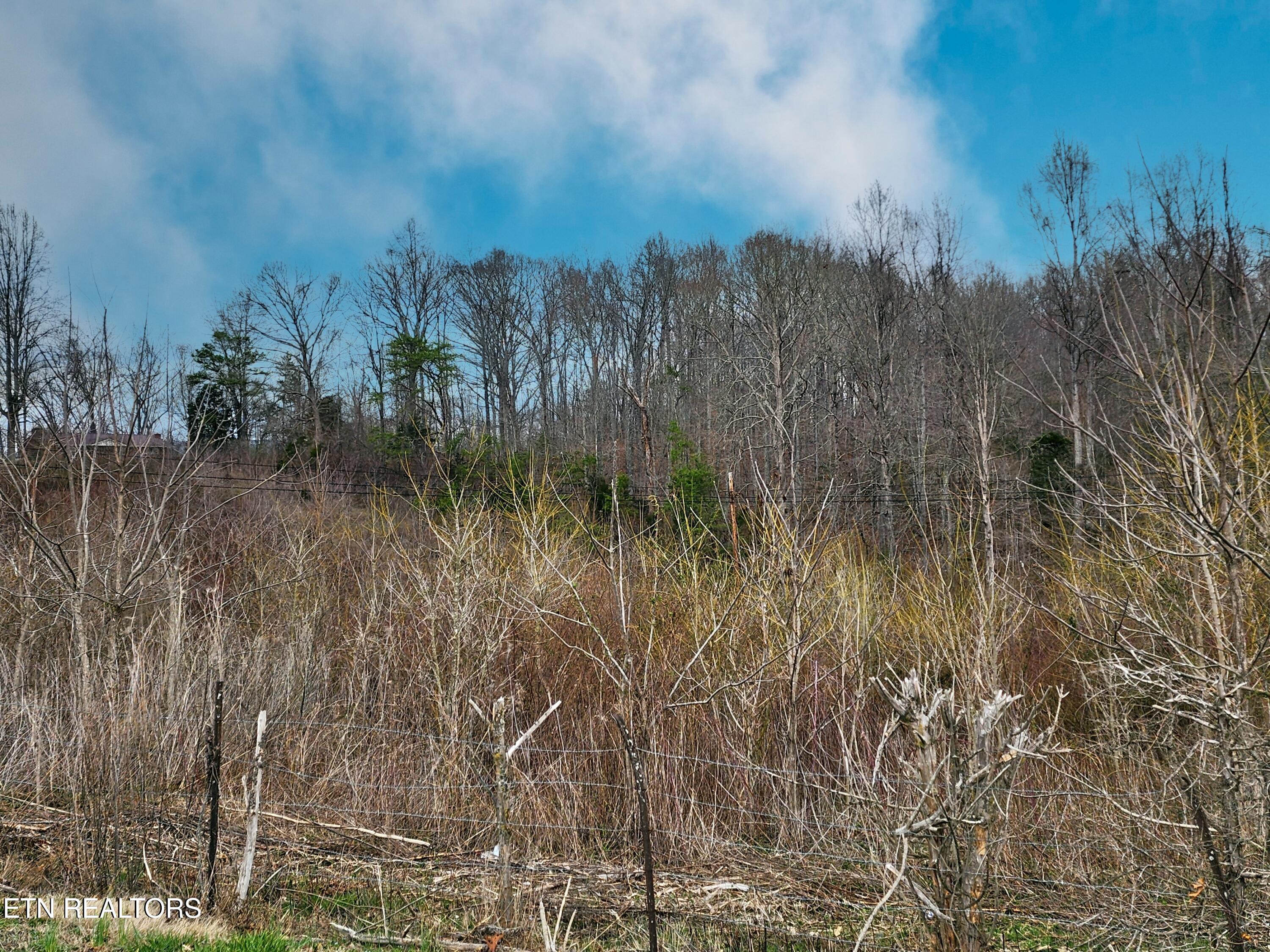 W High Knob Road Lafollette TN 37766