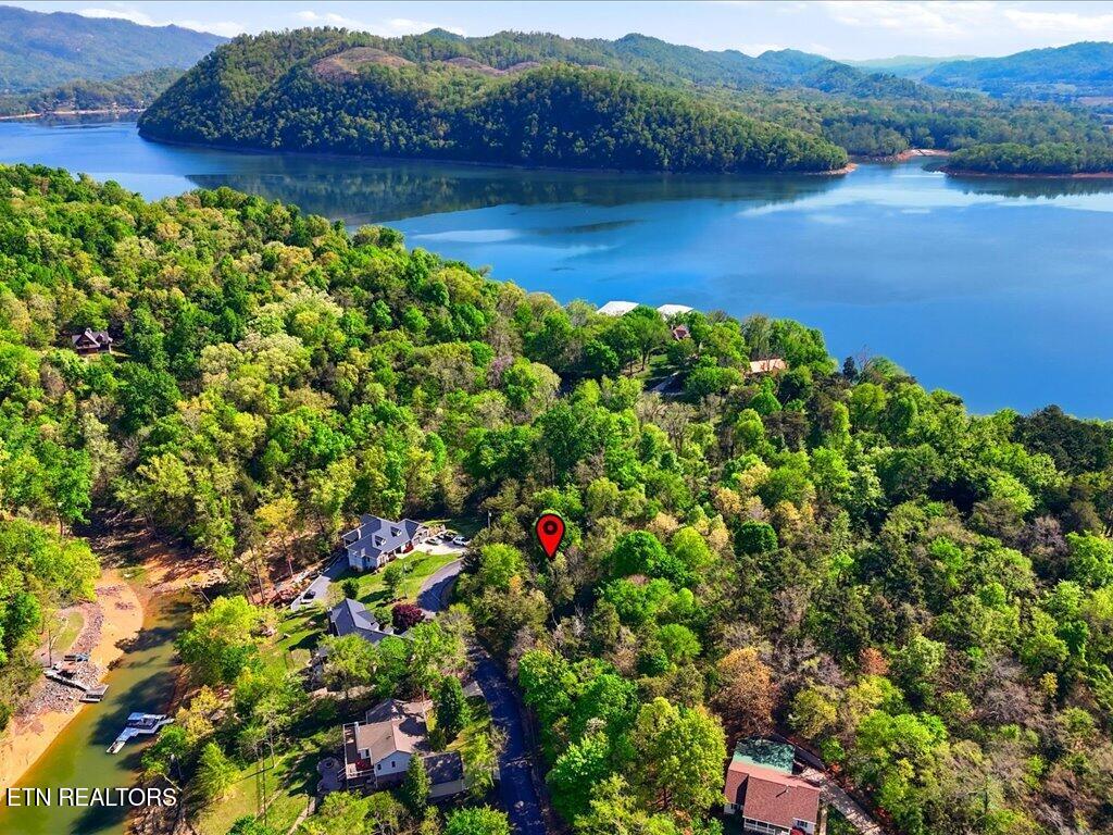 1609 Sequoyah Drive Mooresburg TN 37811