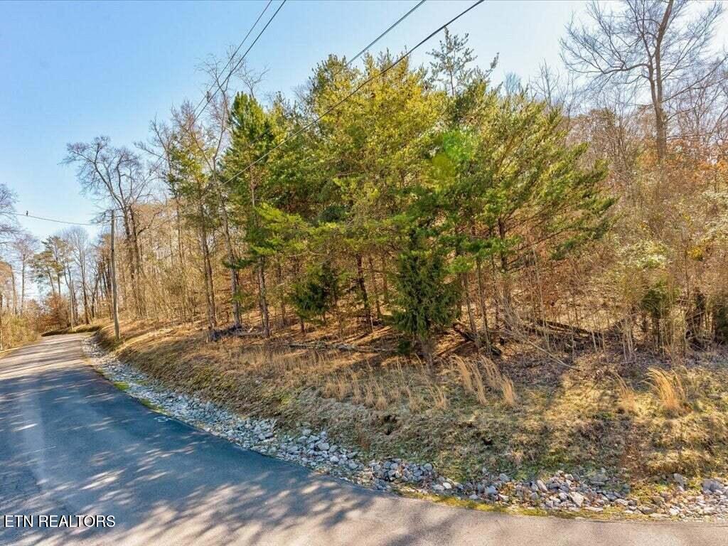 1609 Sequoyah Drive Mooresburg TN 37811