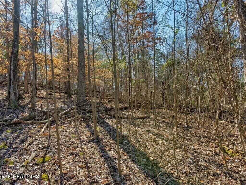1609 Sequoyah Drive Mooresburg TN 37811