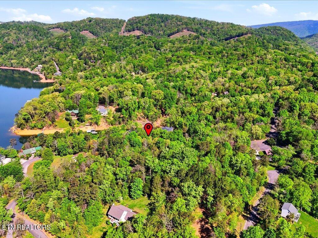 1609 Sequoyah Drive Mooresburg TN 37811