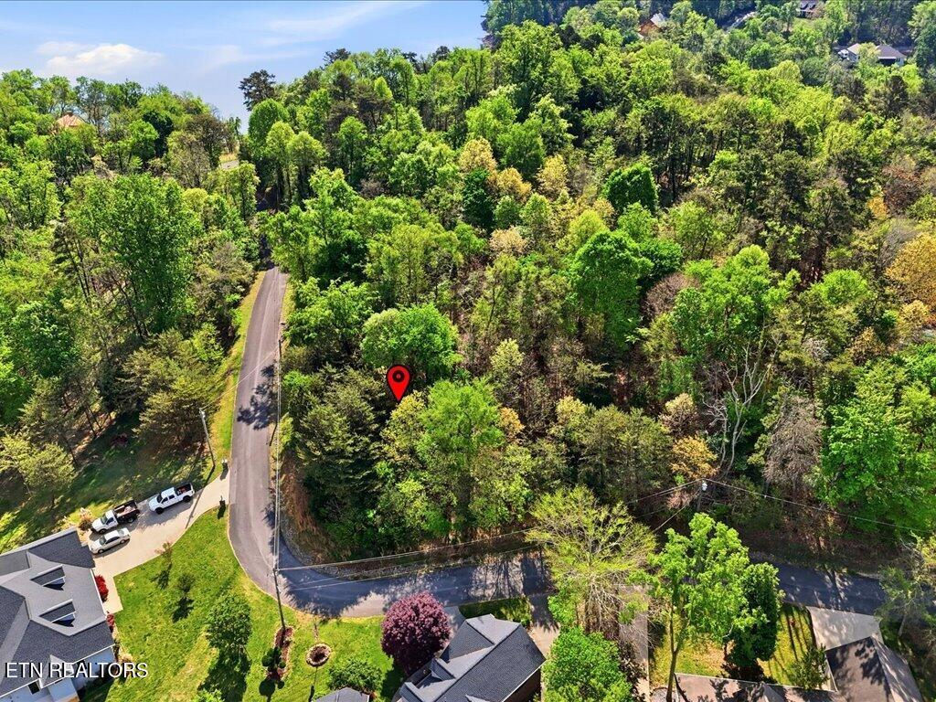 1609 Sequoyah Drive Mooresburg TN 37811