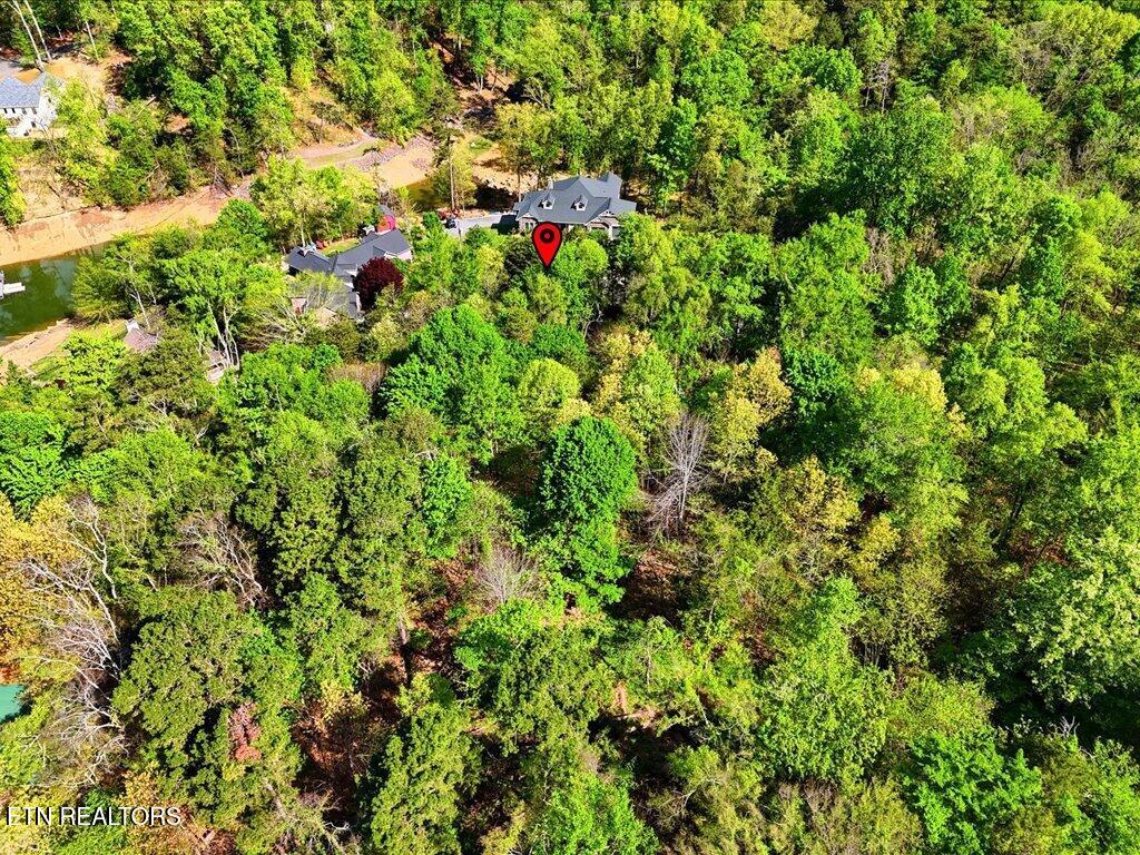 1609 Sequoyah Drive Mooresburg TN 37811