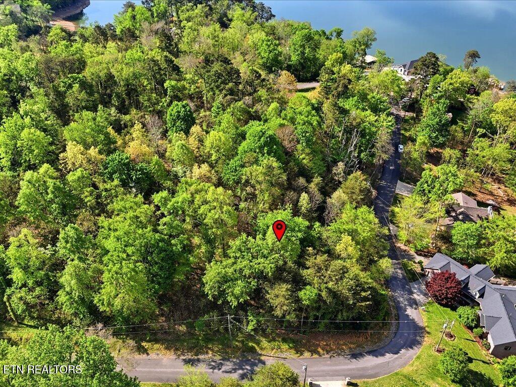 1609 Sequoyah Drive Mooresburg TN 37811