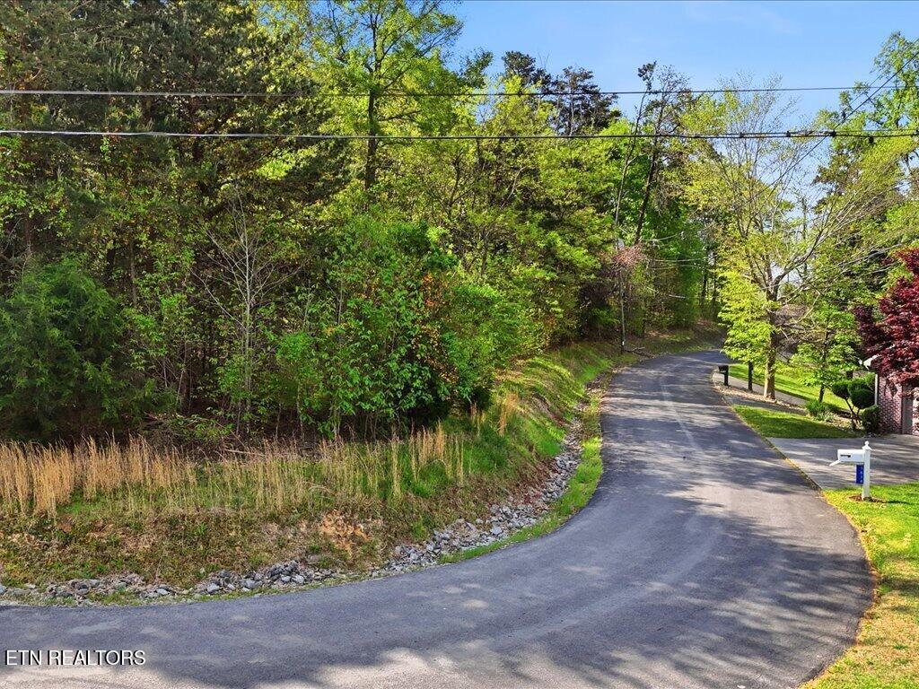 1609 Sequoyah Drive Mooresburg TN 37811