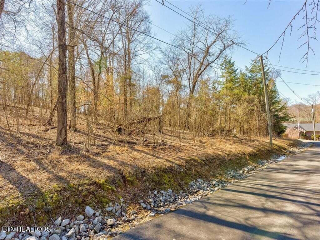 1609 Sequoyah Drive Mooresburg TN 37811