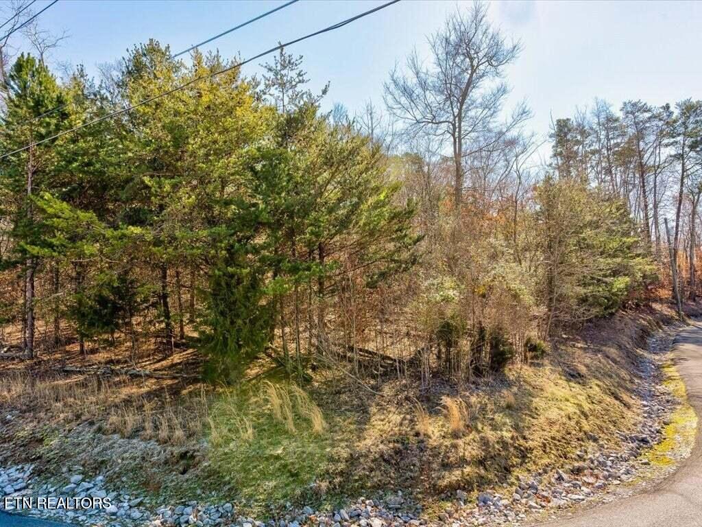 1609 Sequoyah Drive Mooresburg TN 37811