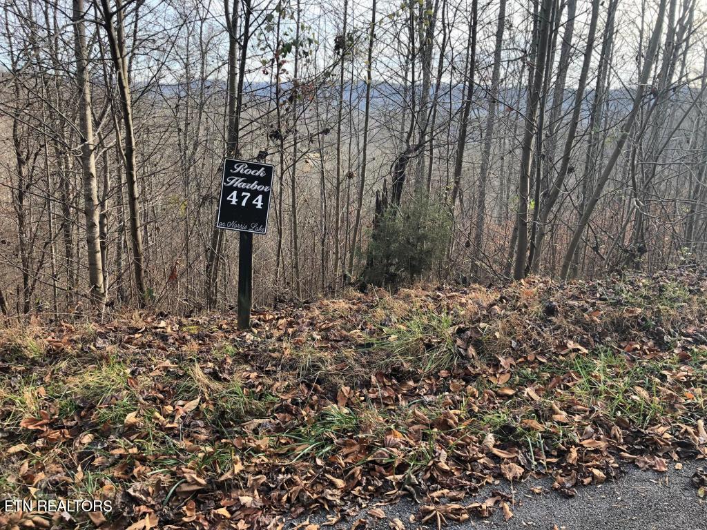 Silver Trail New Tazewell TN 37825